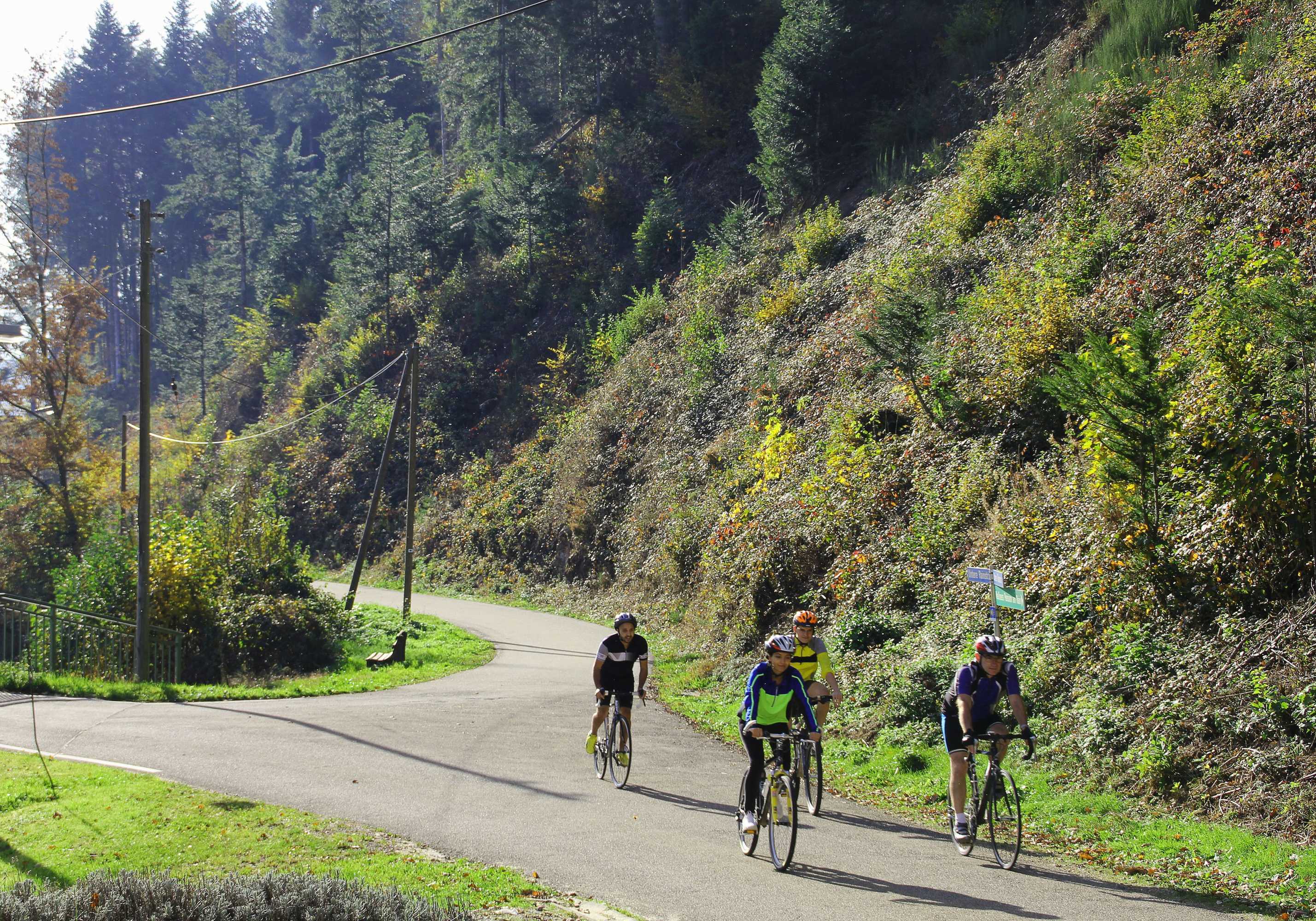 Gift card for Wellness Pension am Rain