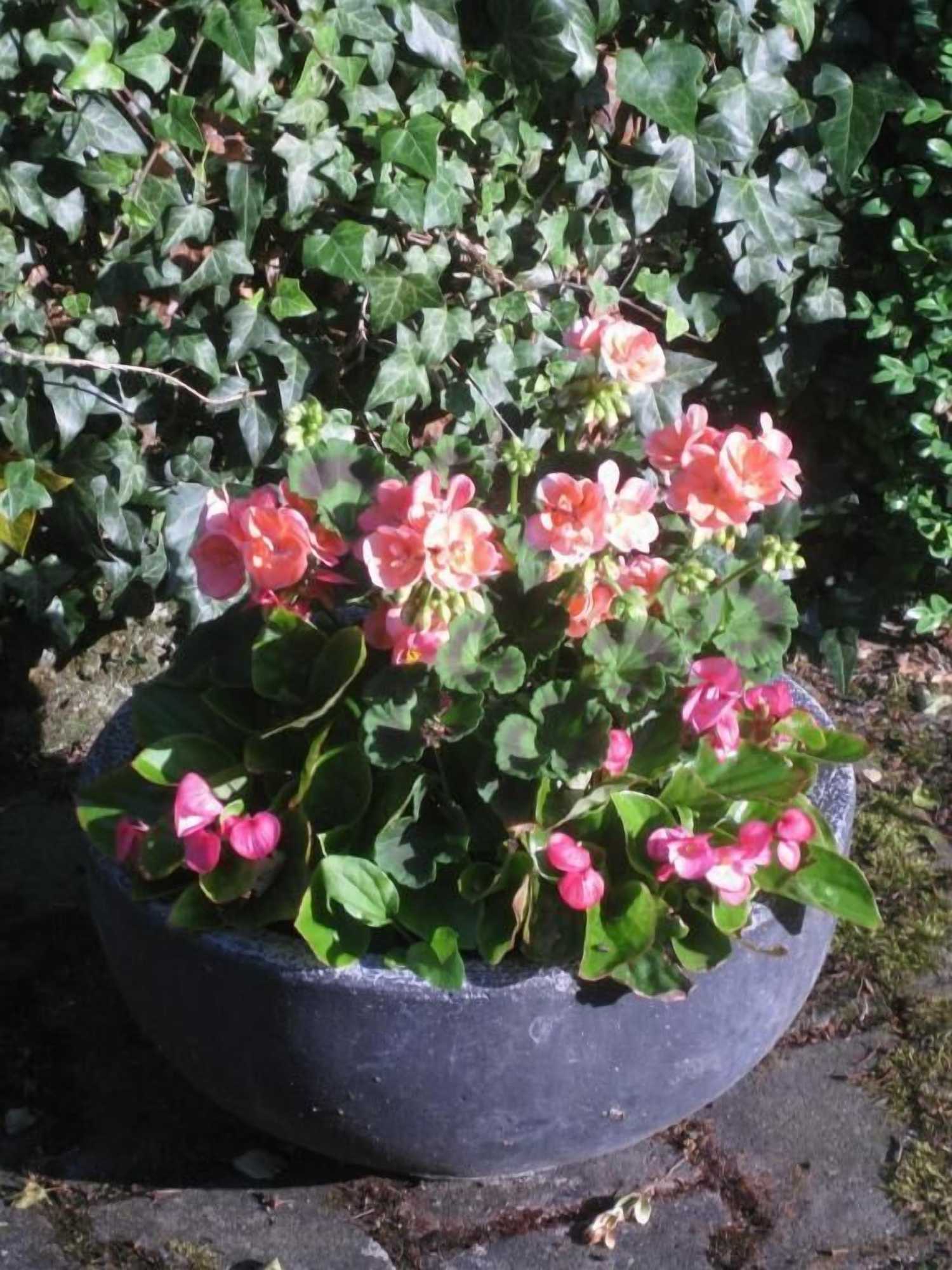 Gift card for Romantikmühle Heartlandranch