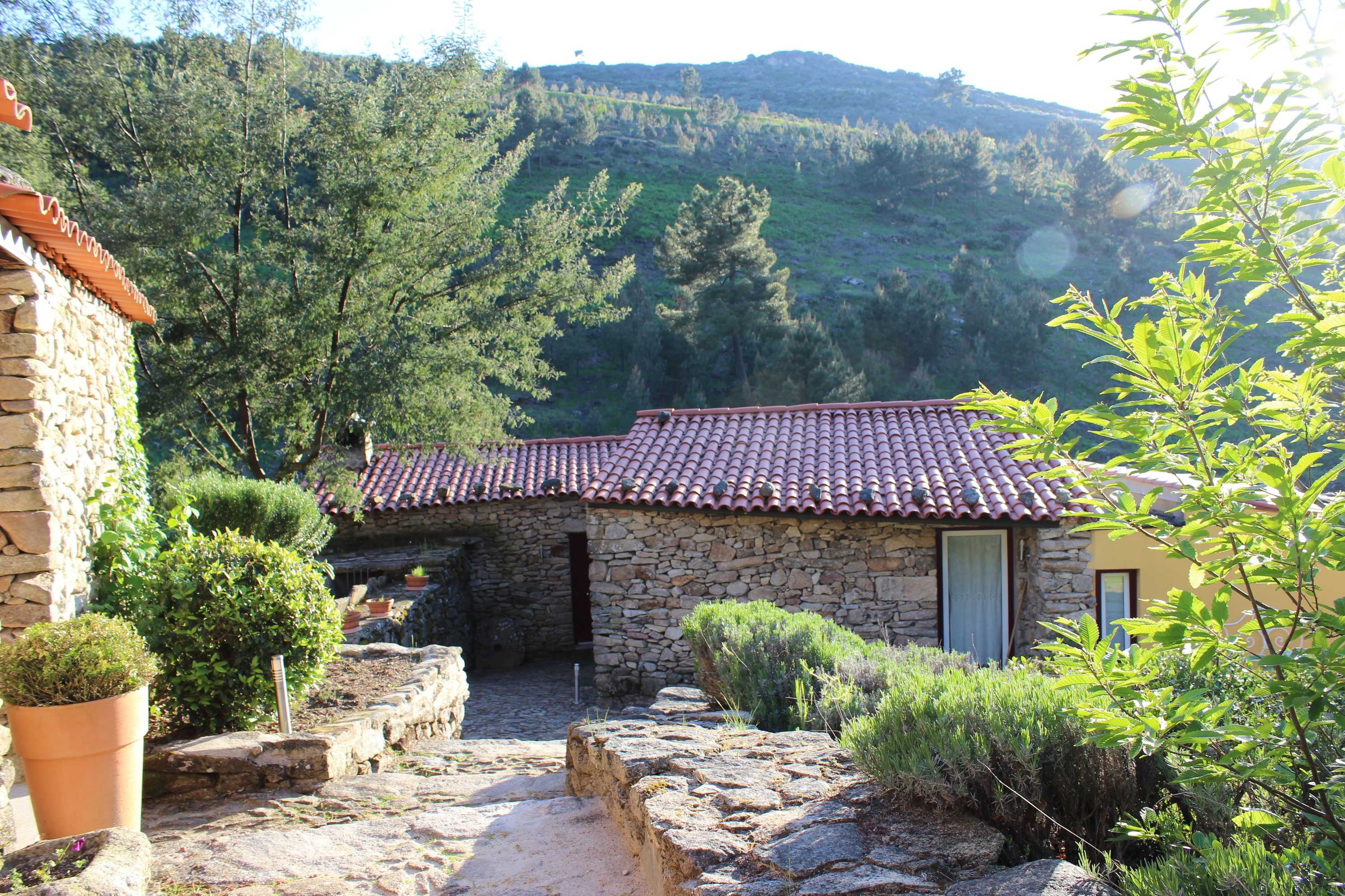 Gift card for Moinhos da Tia Antoninha