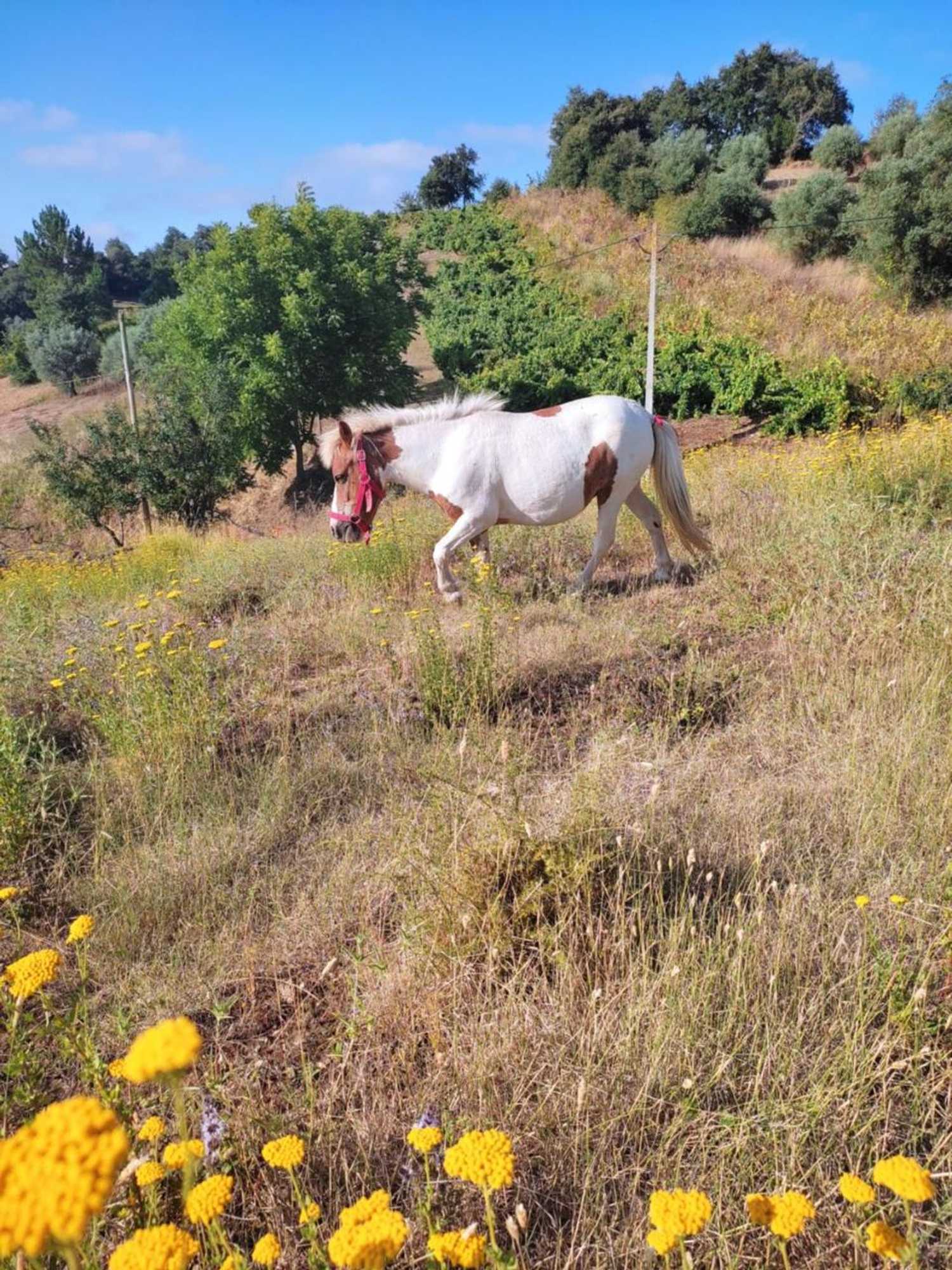 Gift card for Nature Et Al House