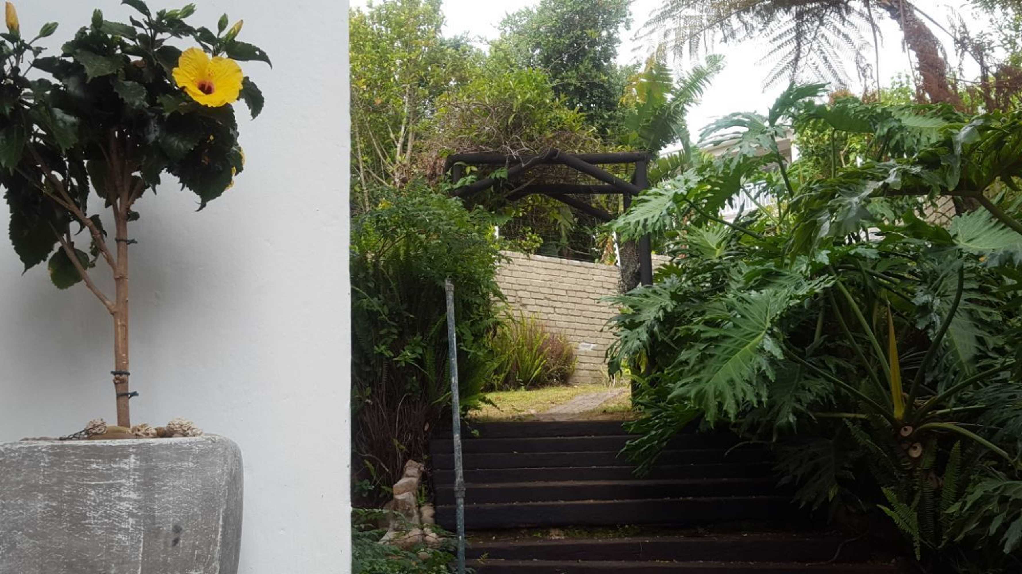 Gift card for Seagulls Nest