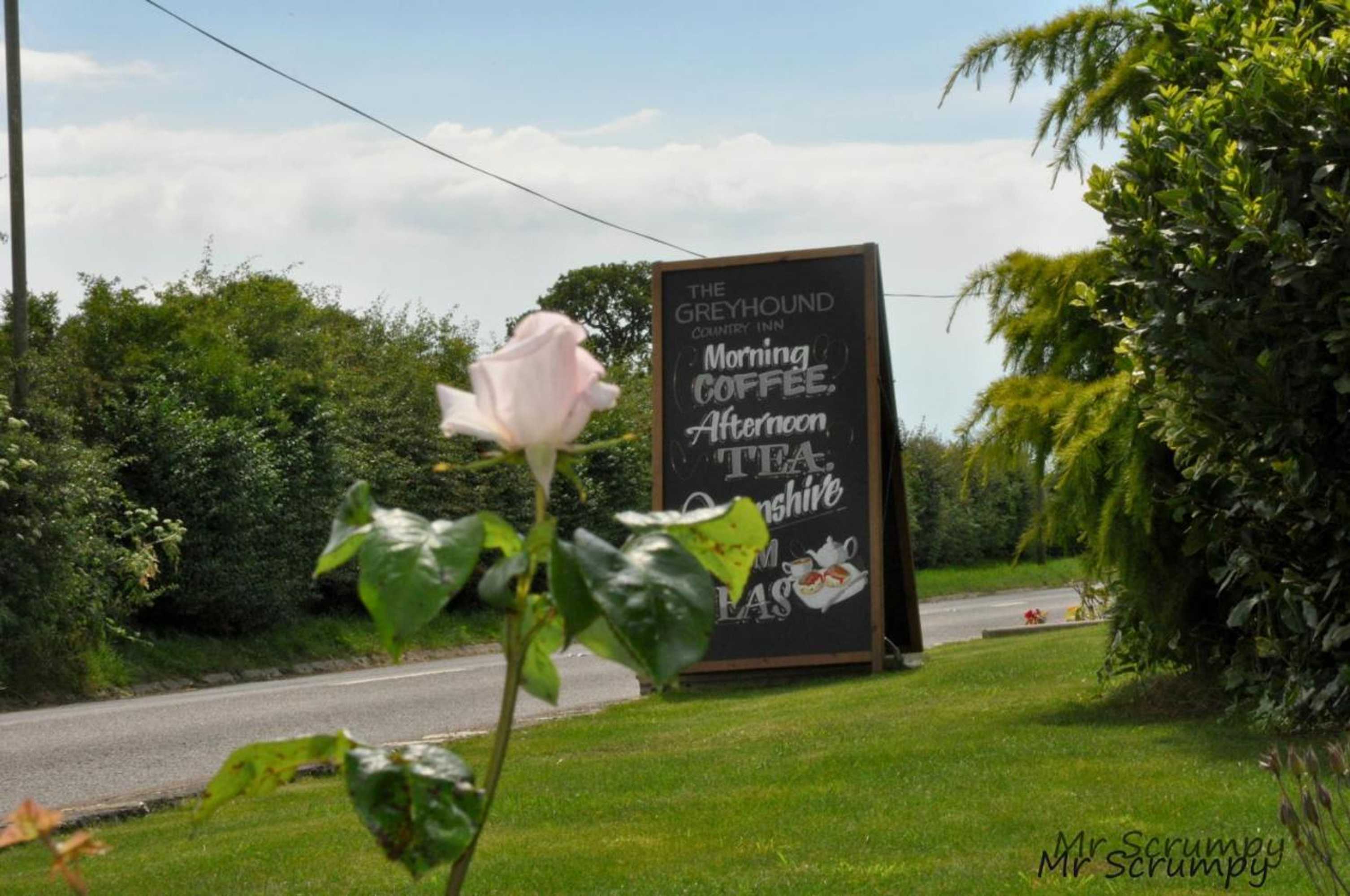Gift card for Greyhound Country Inn
