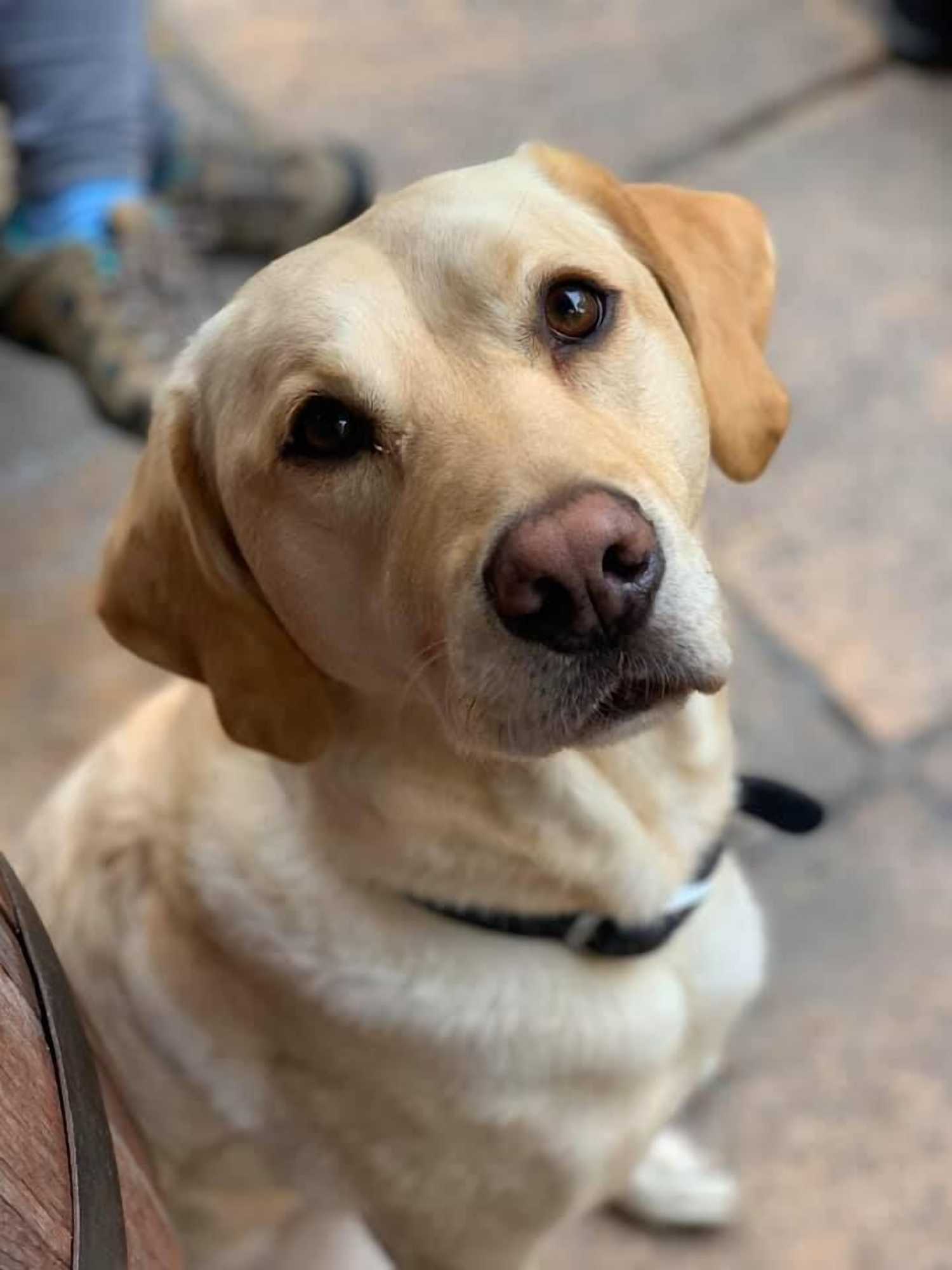 Gift card for The Cross Keys