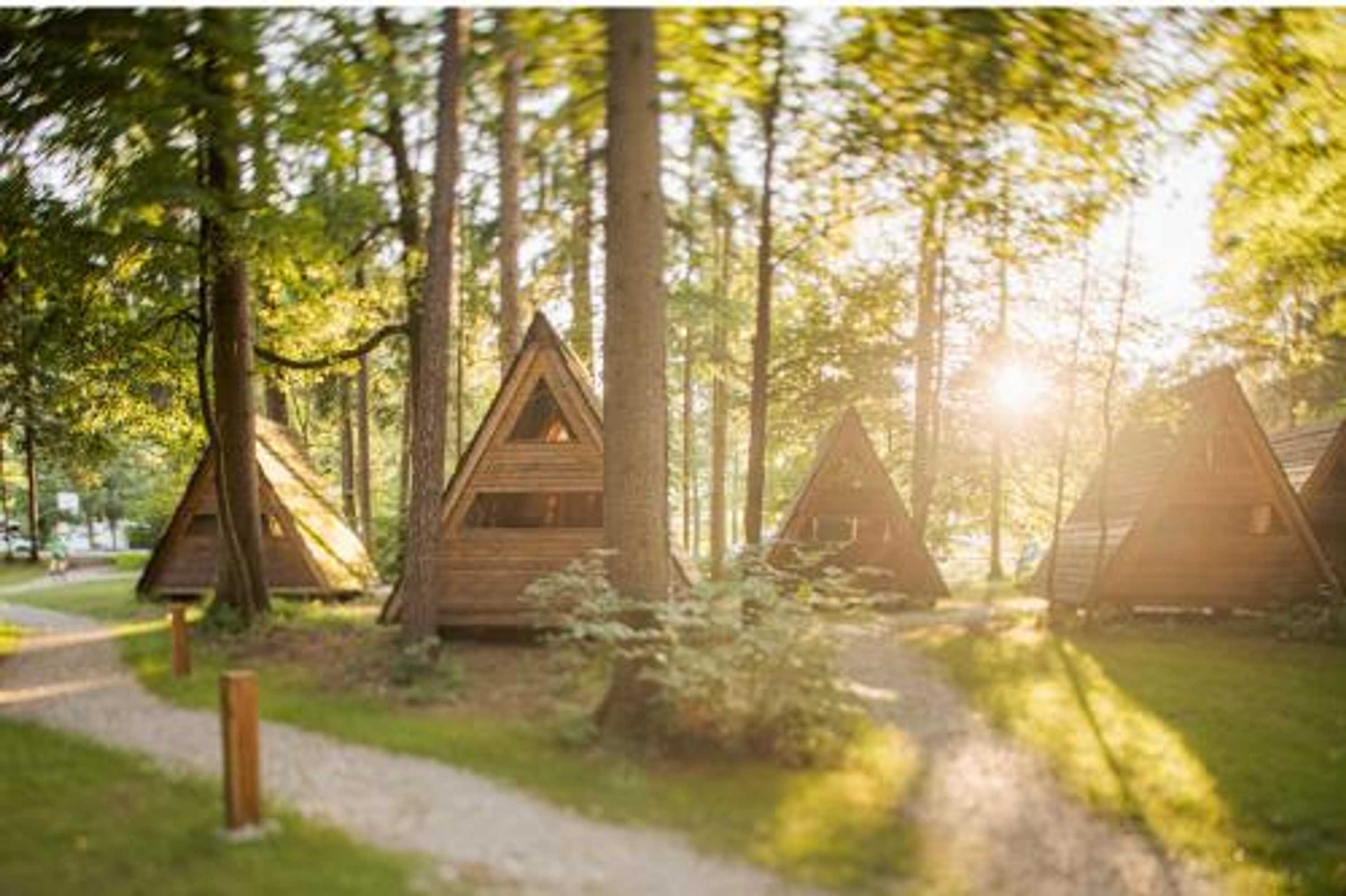 Gift card for Forest Camping Mozirje Gift card for Forest Camping Mozirje