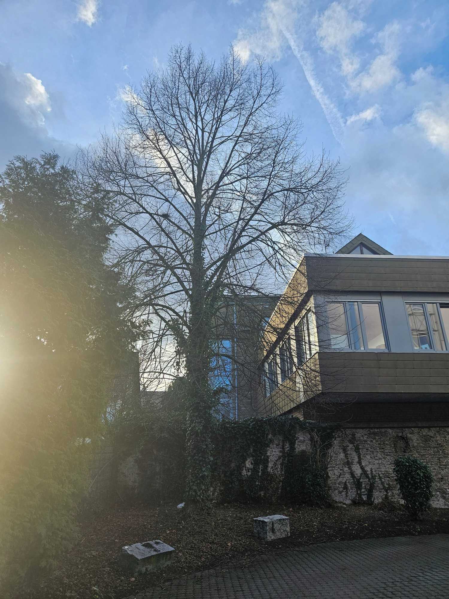 Gift card for Ibis Styles Speyer