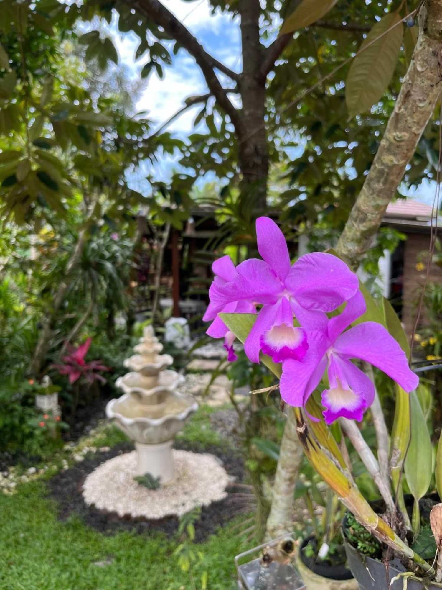 Gift card for Villa Padi Cangkringan