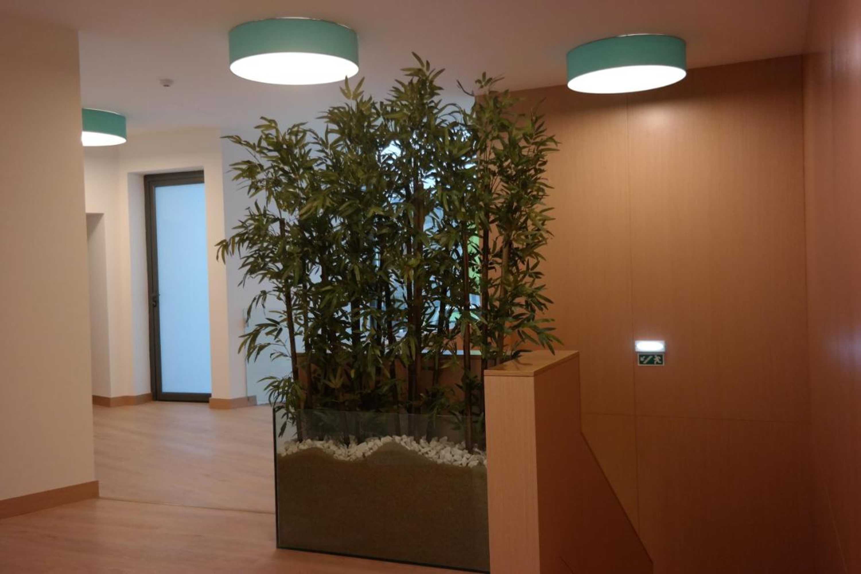 Gift card for Ansiturismo Alojamento