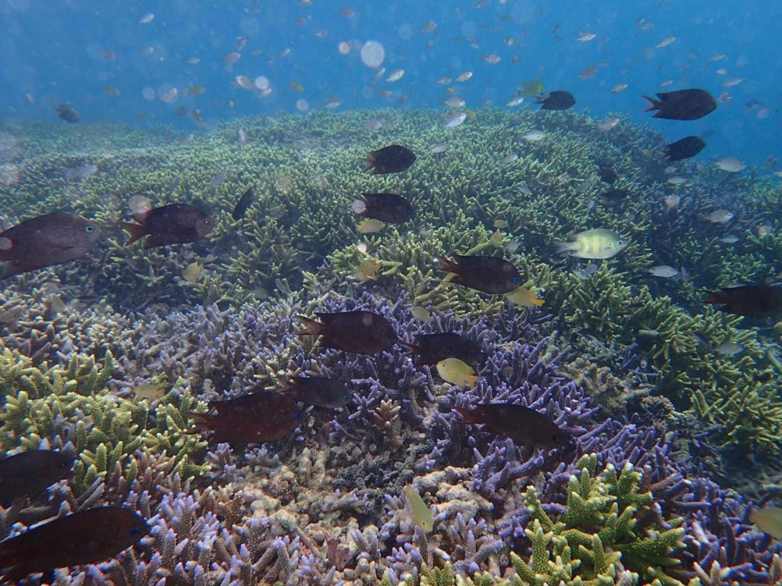 Gift card for Bidara Cottage