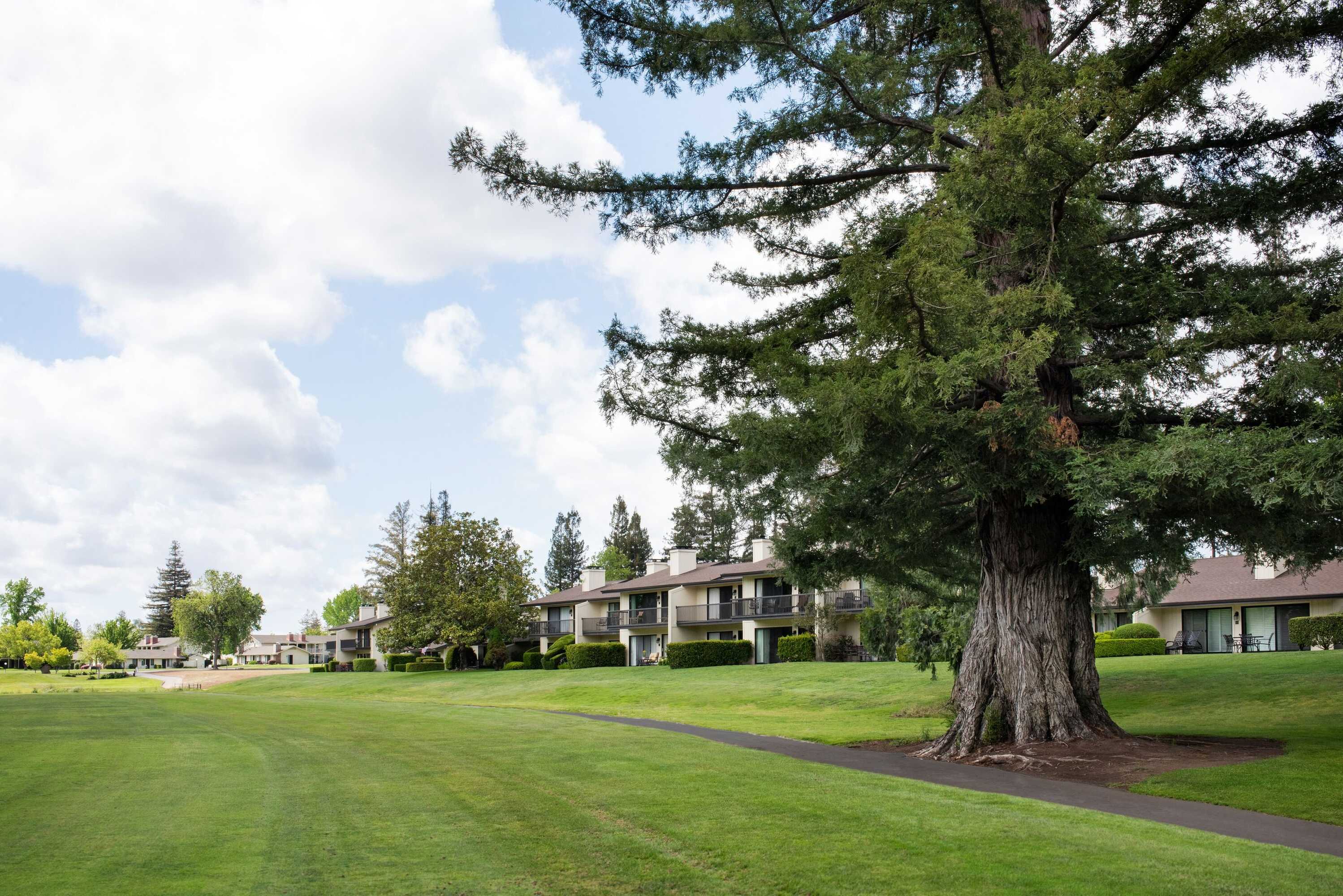 Gift card for Silverado Resort Gift card for Silverado Resort