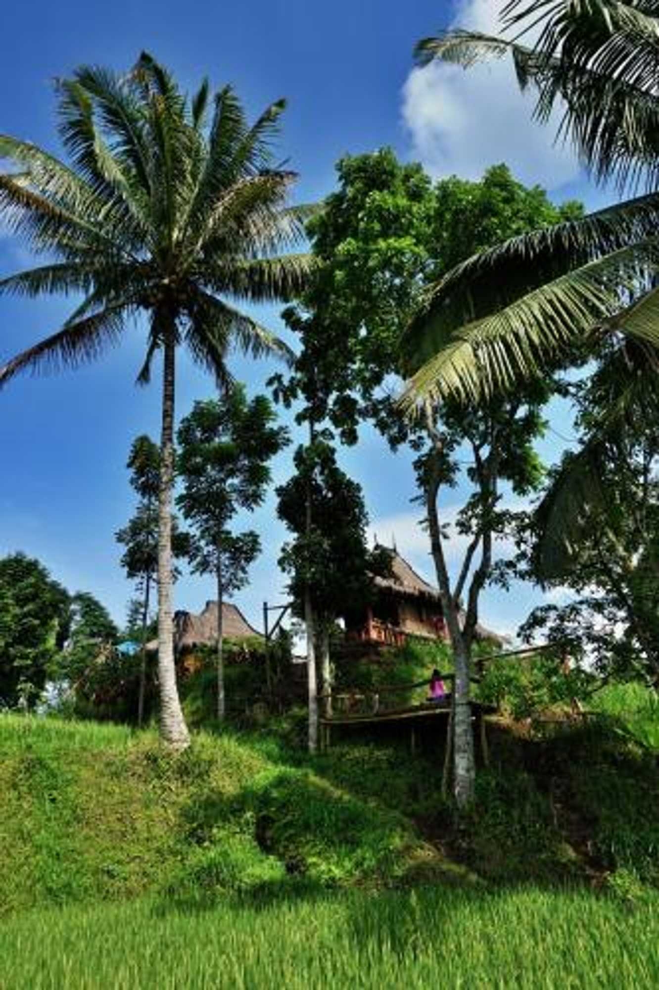 Gift card for Satu Lingkung Bungalows Homestay Gift card for Satu Lingkung Bungalows Homestay
