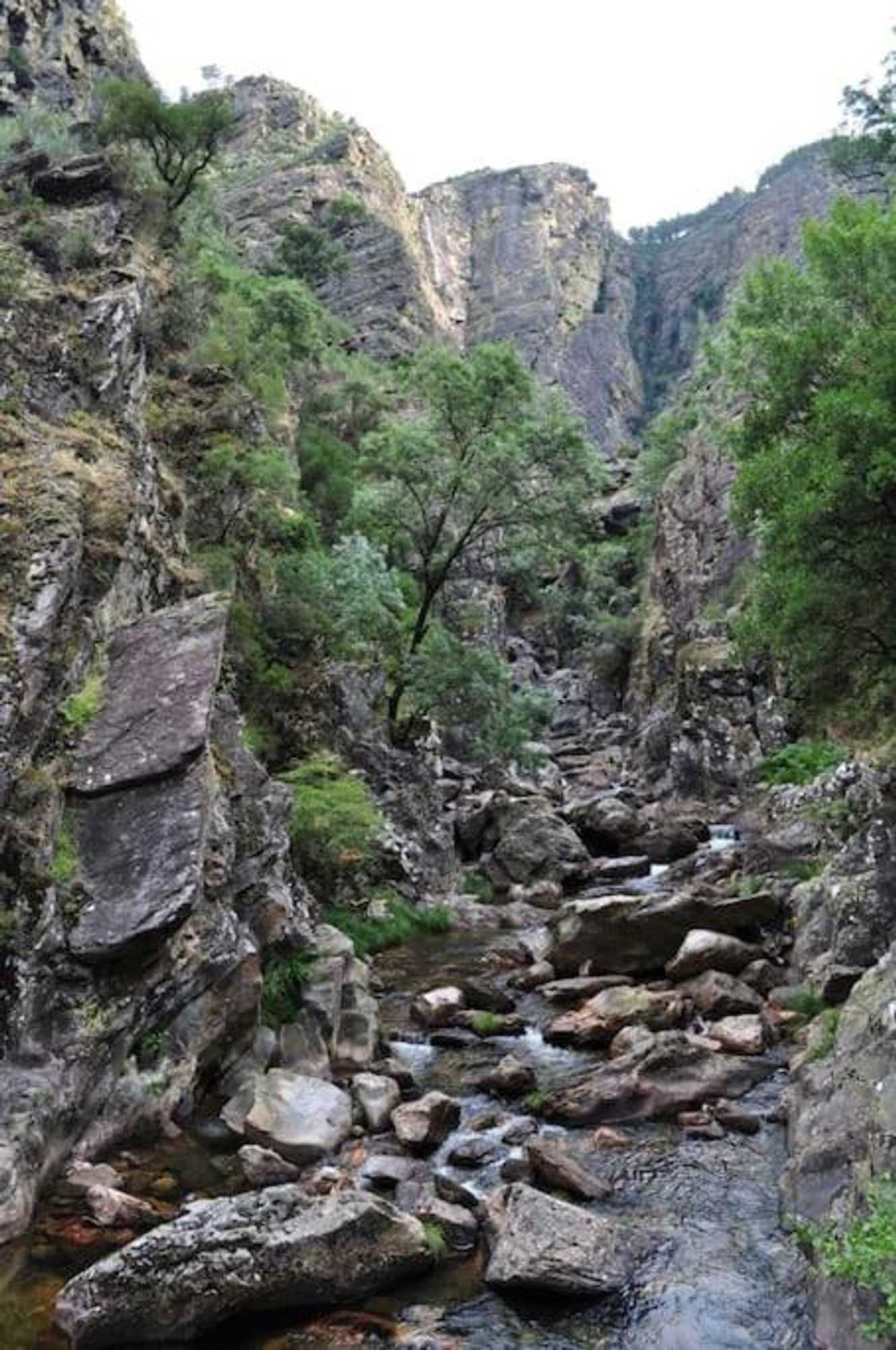 Gift card for Casa do Rio