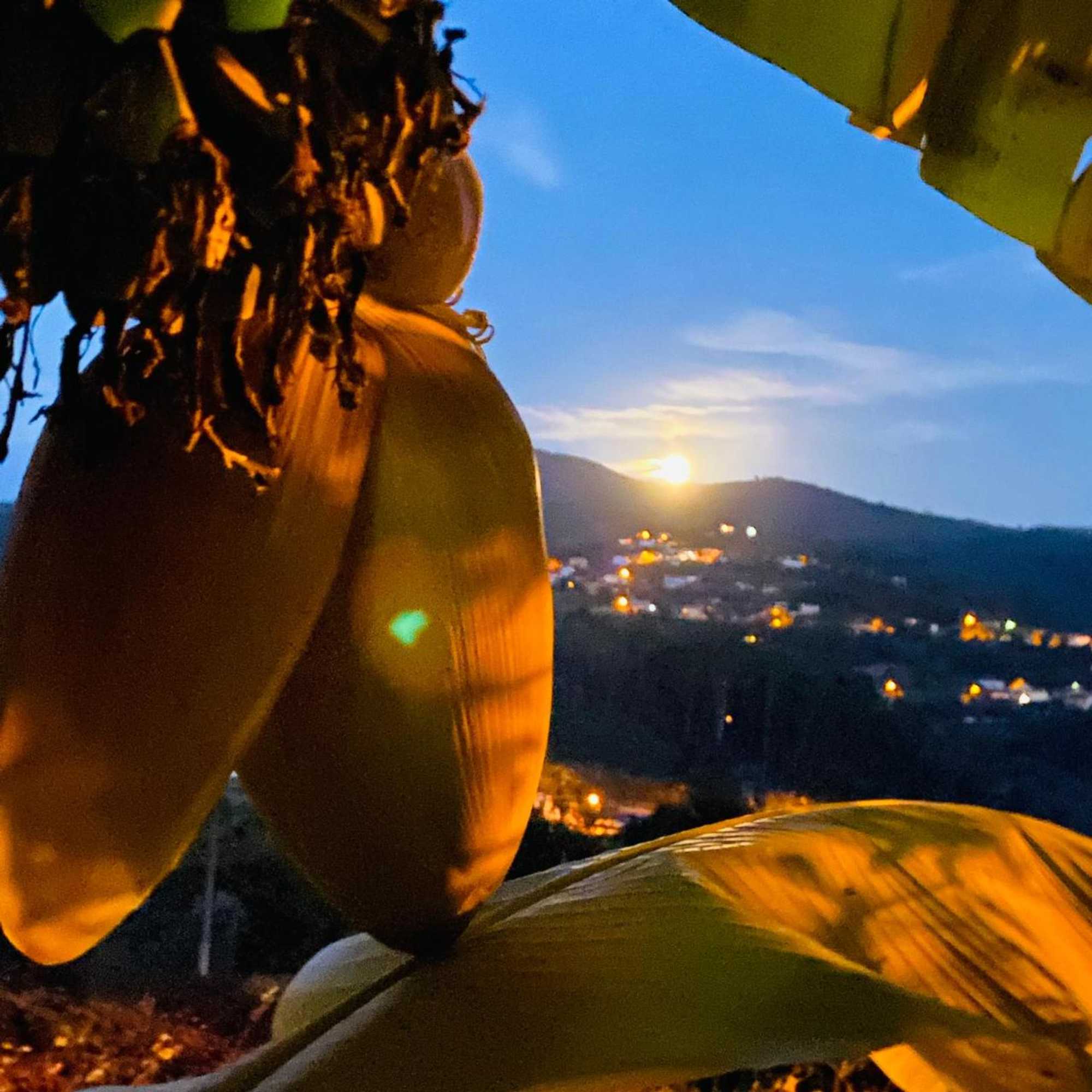 Gift card for Quinta Labruja