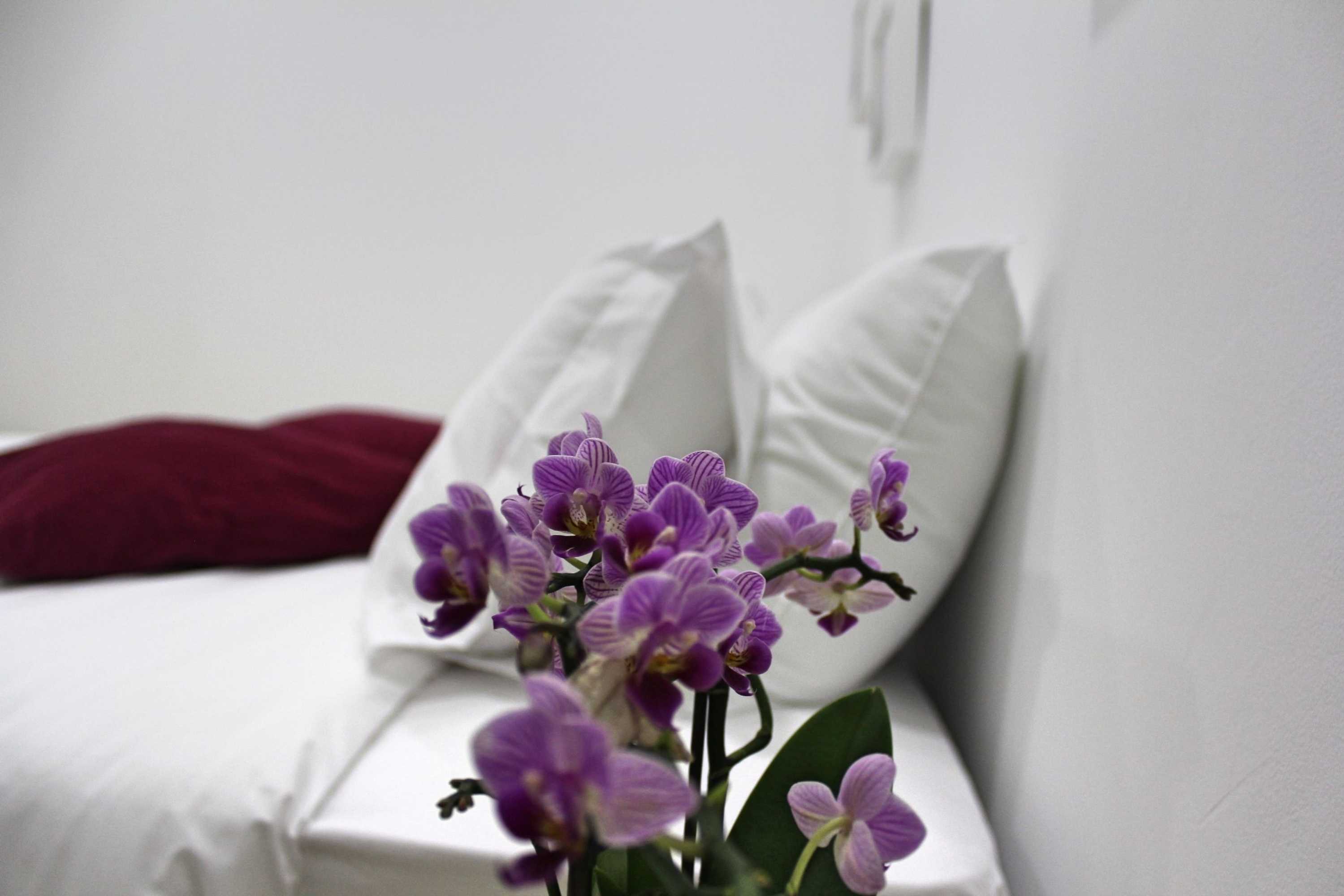 Gift card for Nine Senses Guest House Gift card for Nine Senses Guest House