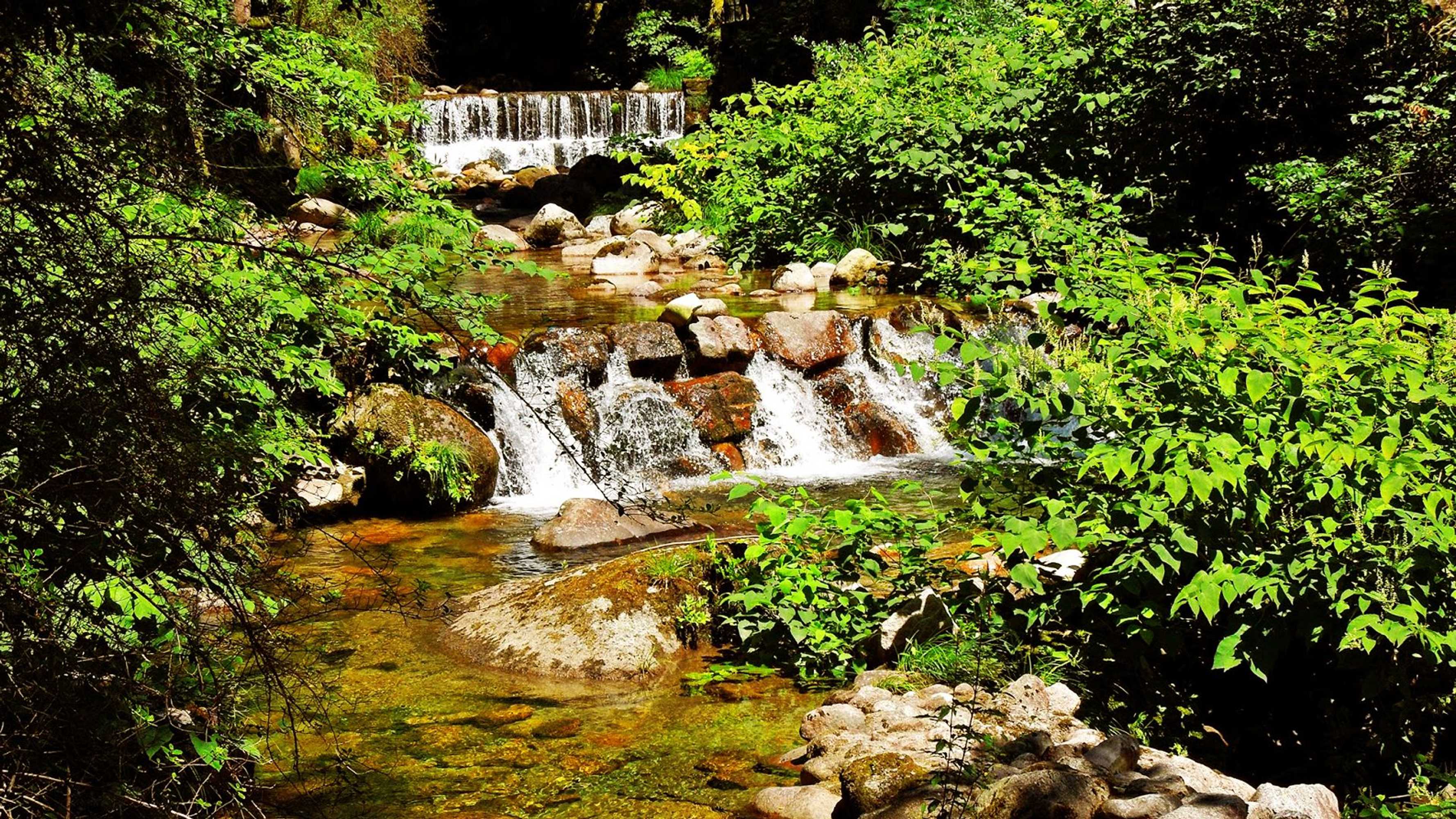 Gift card for Agrinho Suítes & Spa Gerês