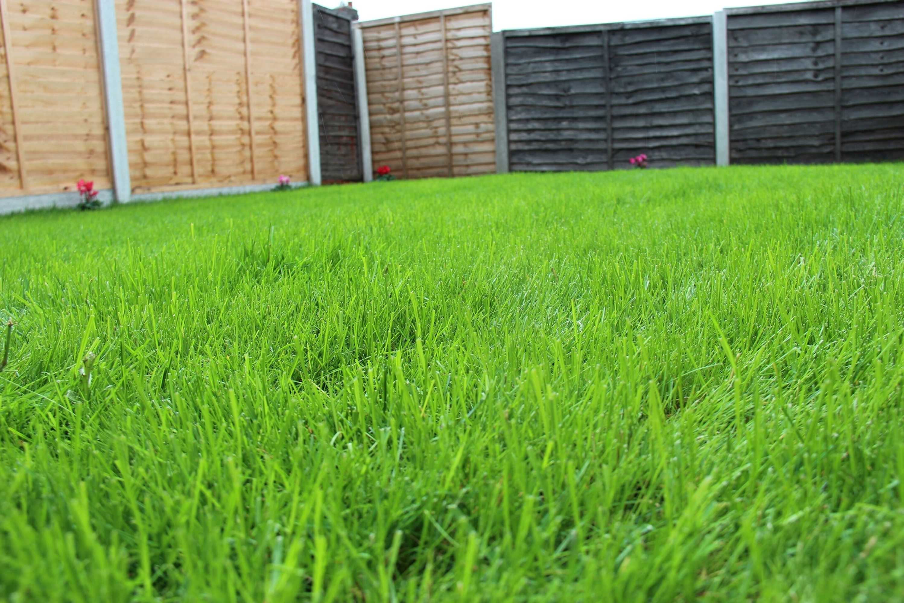 Gift card for Mosh Homes