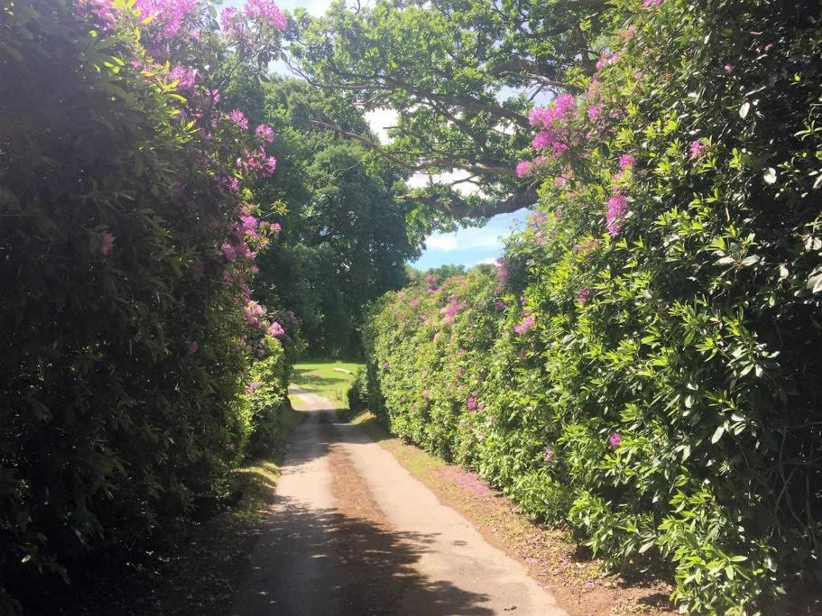 Gift card for Ockhams Farm Guest House