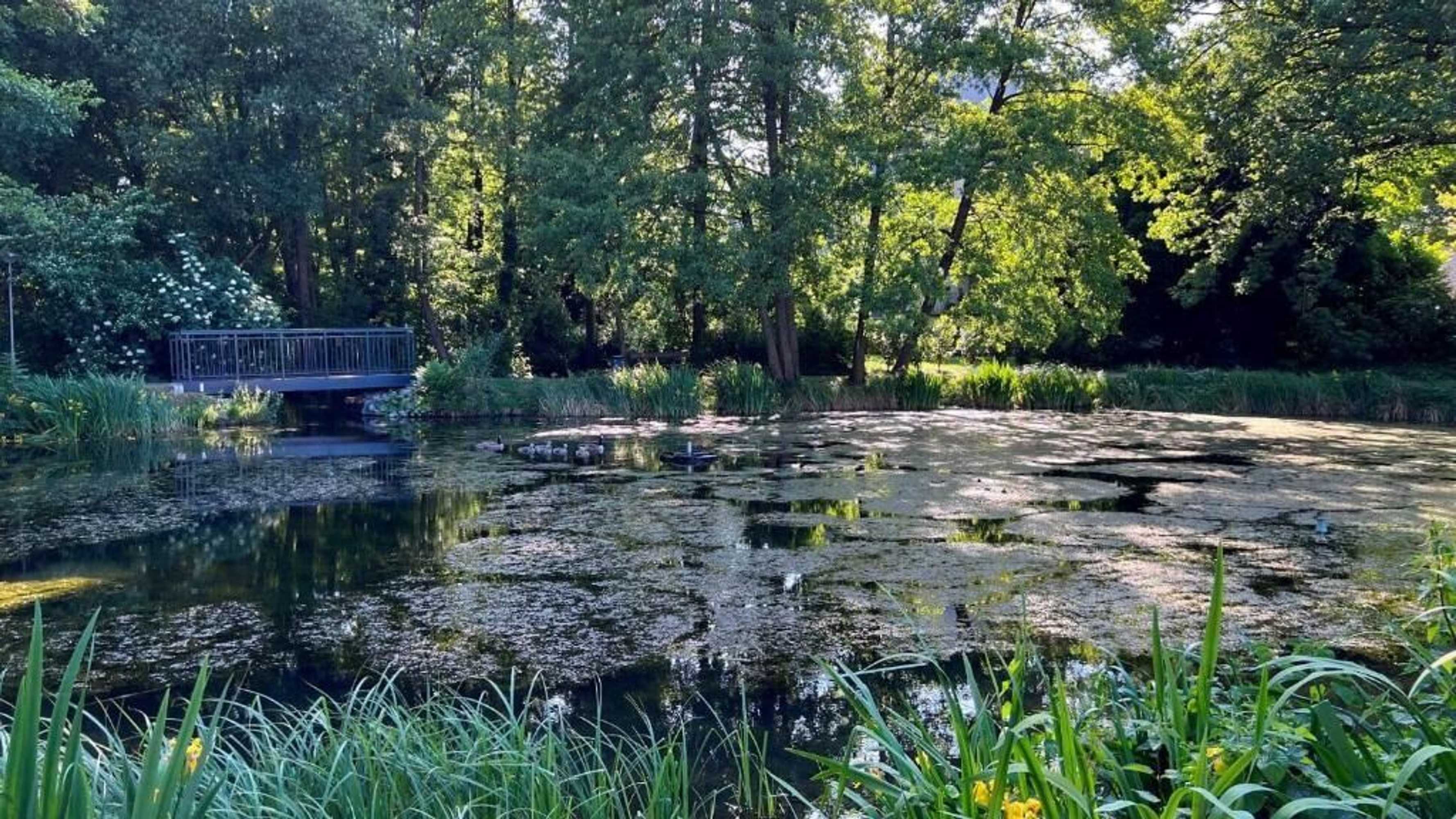 Gift card for Kaisermühle Historischer Gasthof