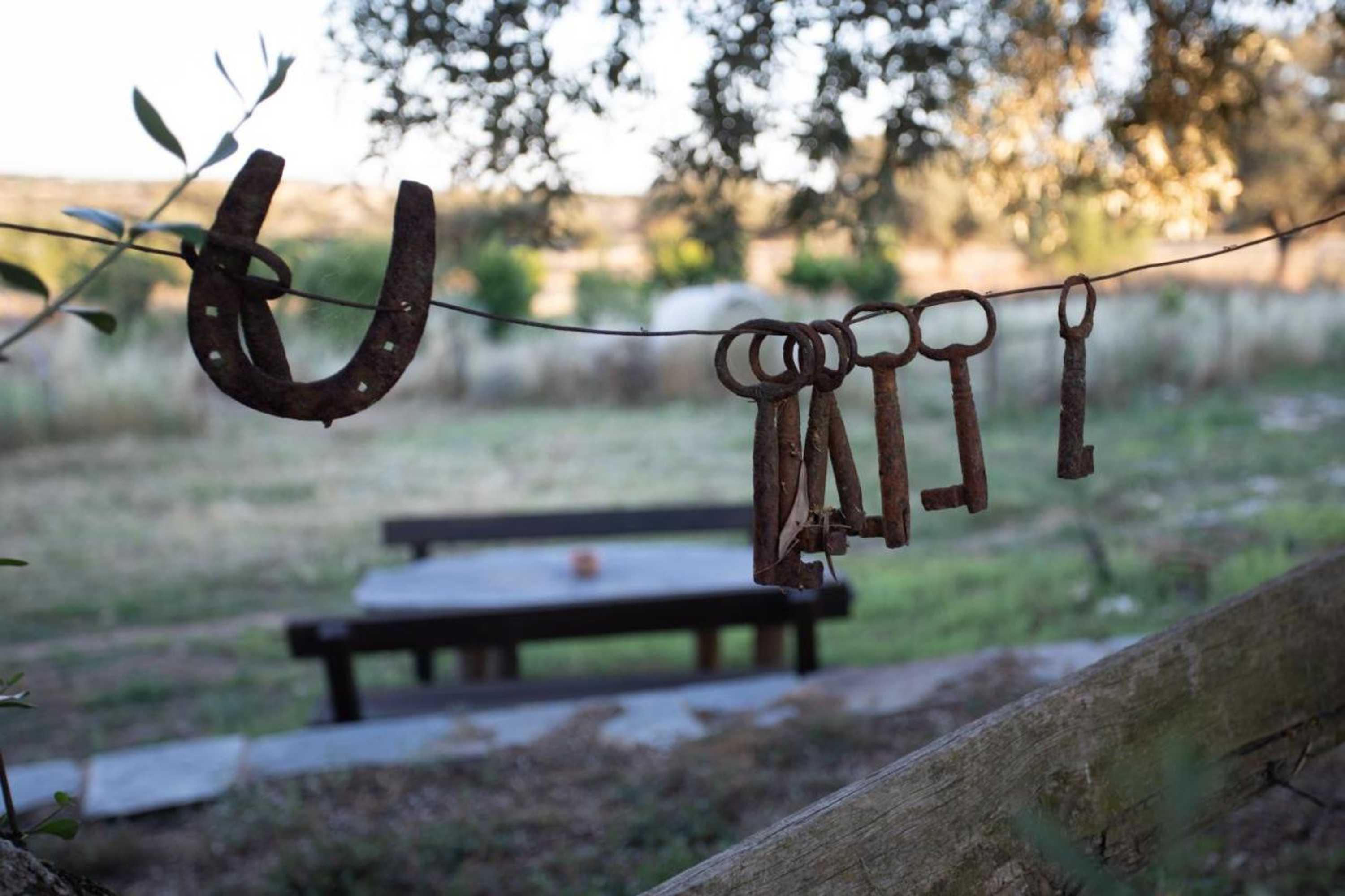 Gift card for Monte Dos Vicentes