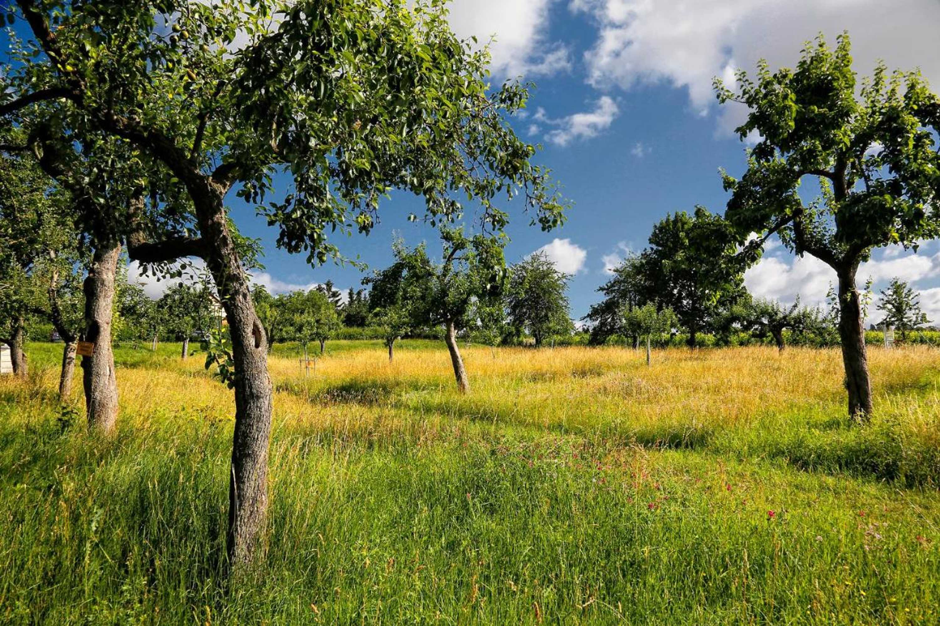 Gift card for Konsumhotel Dorotheenhof Weimar