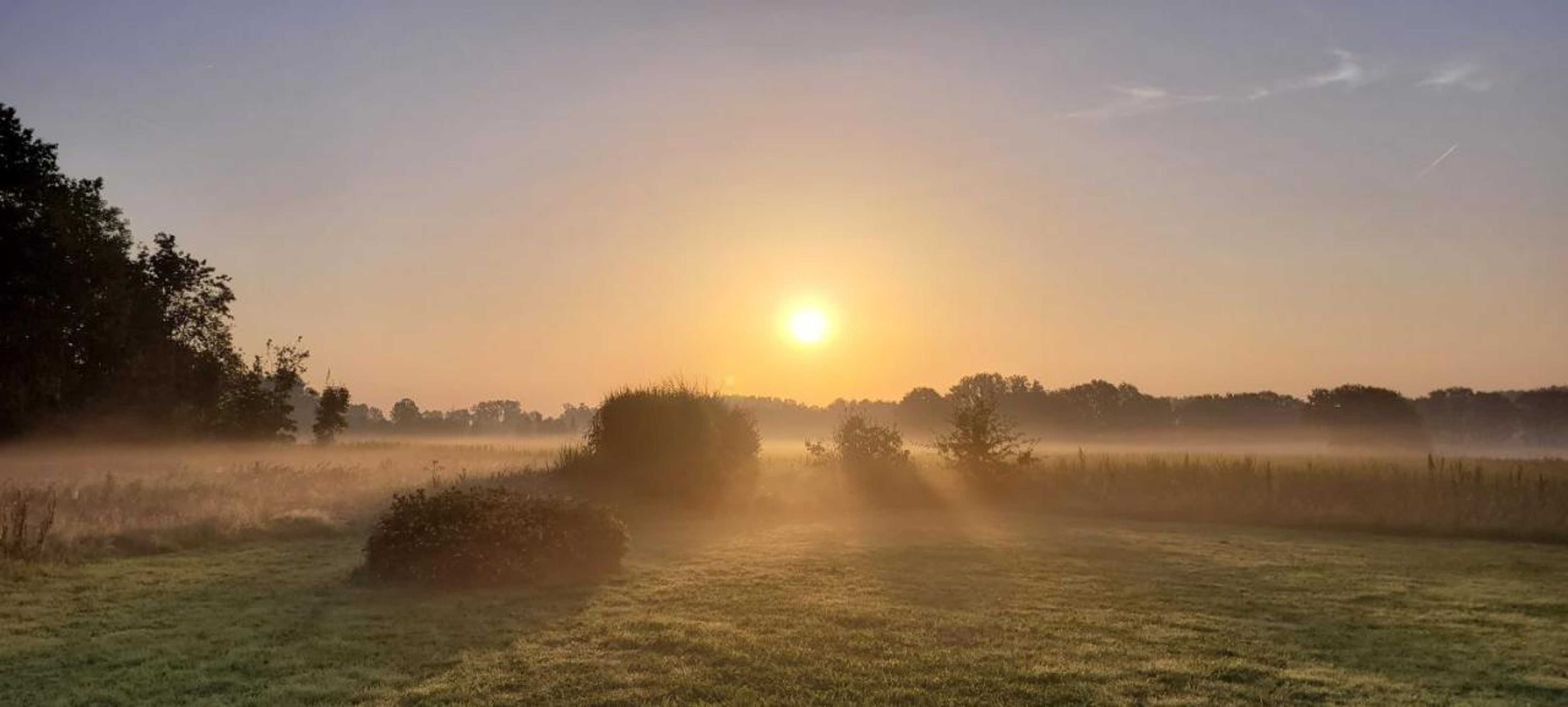 Gift card for B&b D'hollehoeve