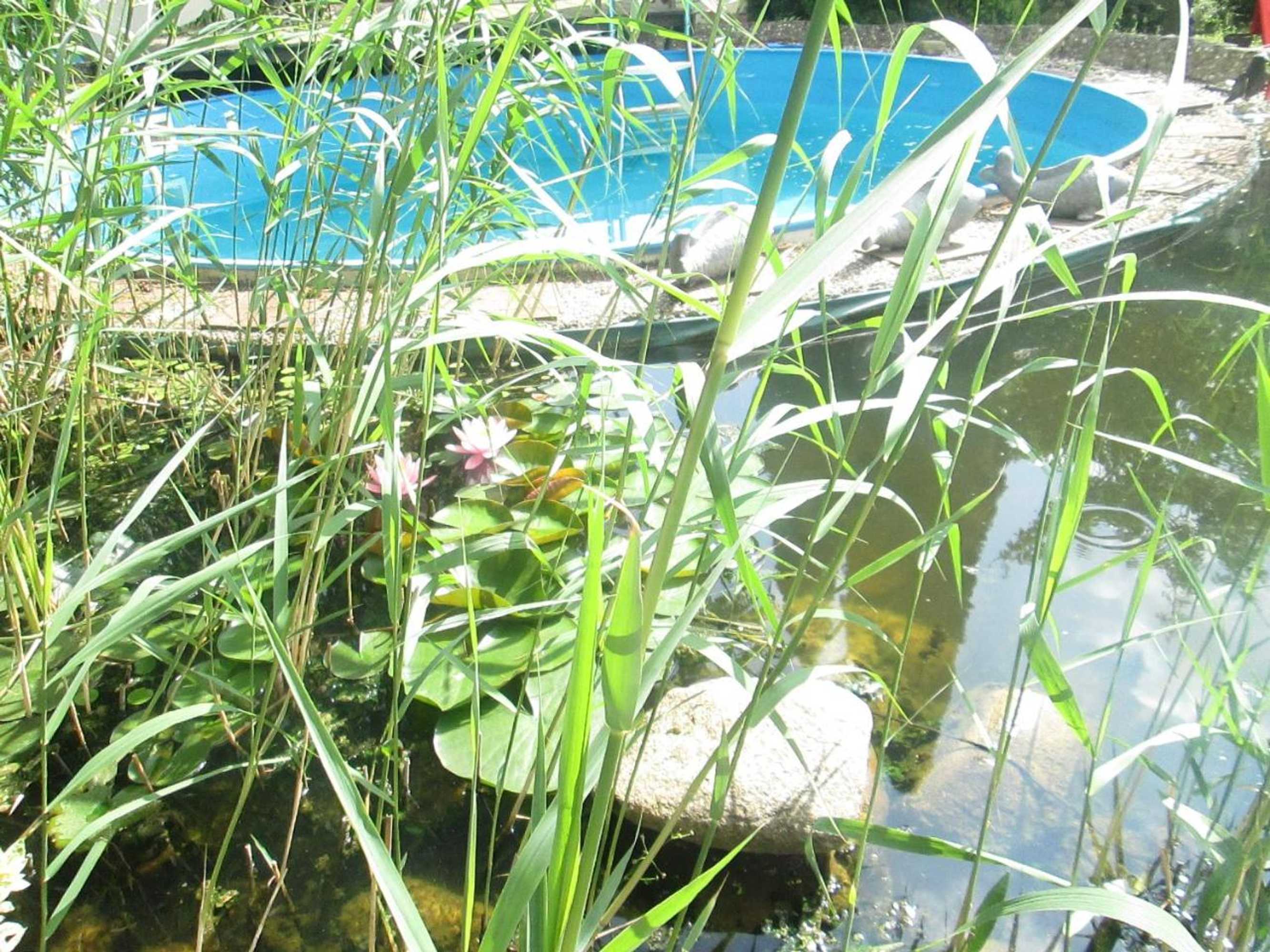 Gift card for Hotel Attaché Frankfurt Airport Raunheim