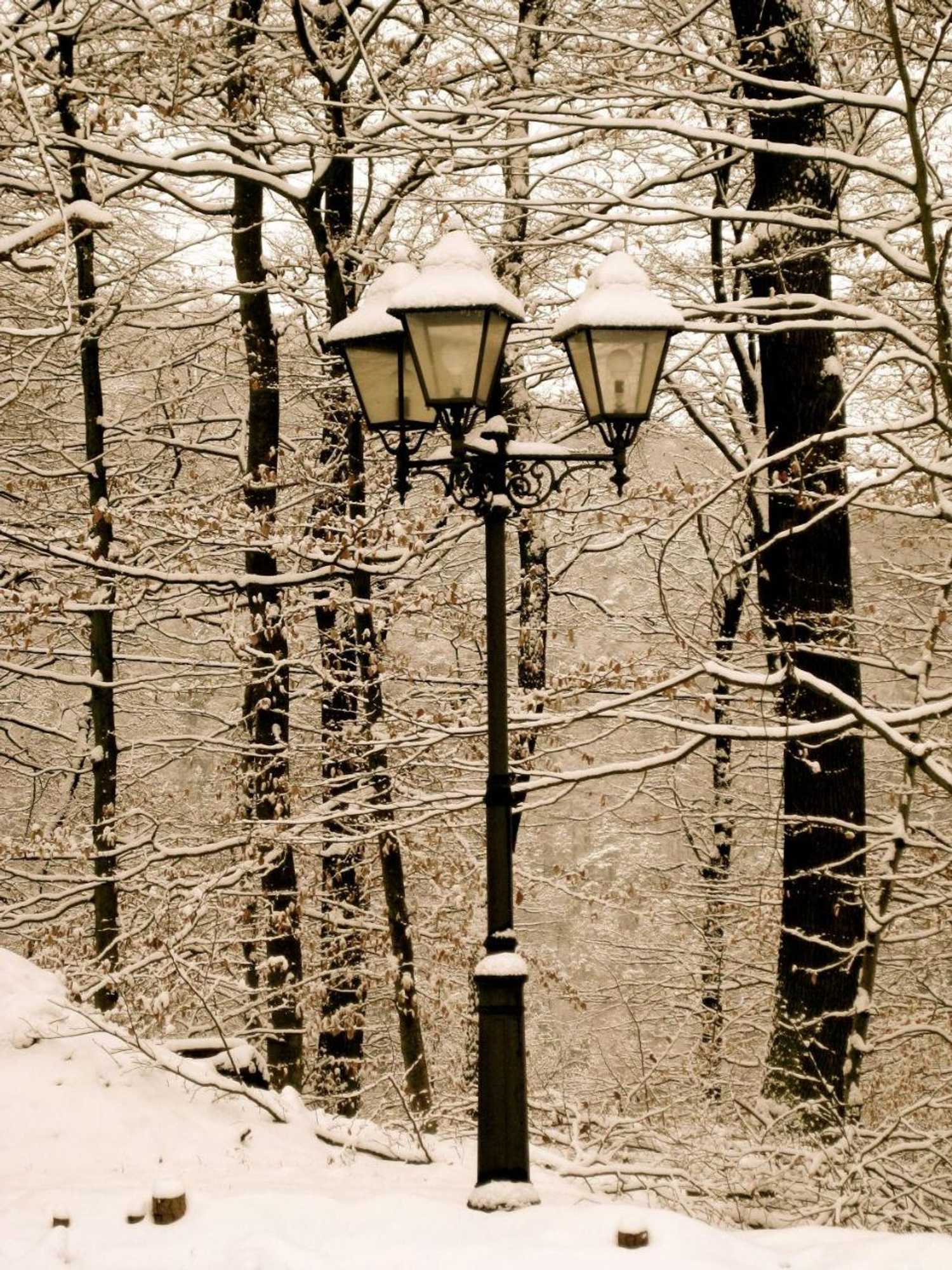 Gift card for Berghotel Wintersberg