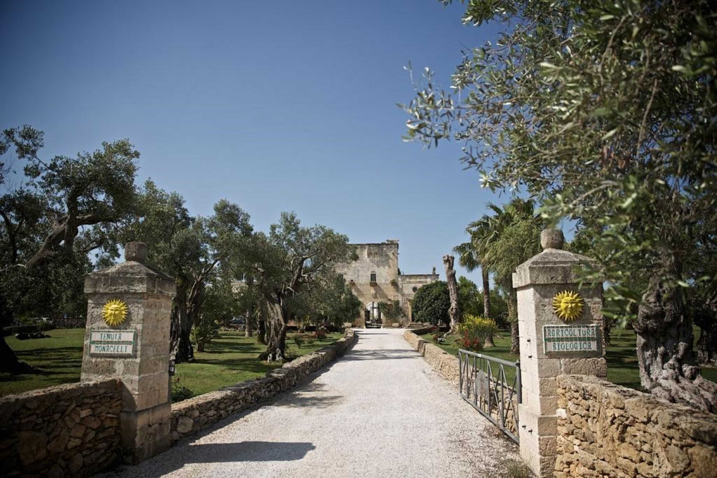 Gift card for Tenuta Monacelli Lecce Gift card for Tenuta Monacelli Lecce