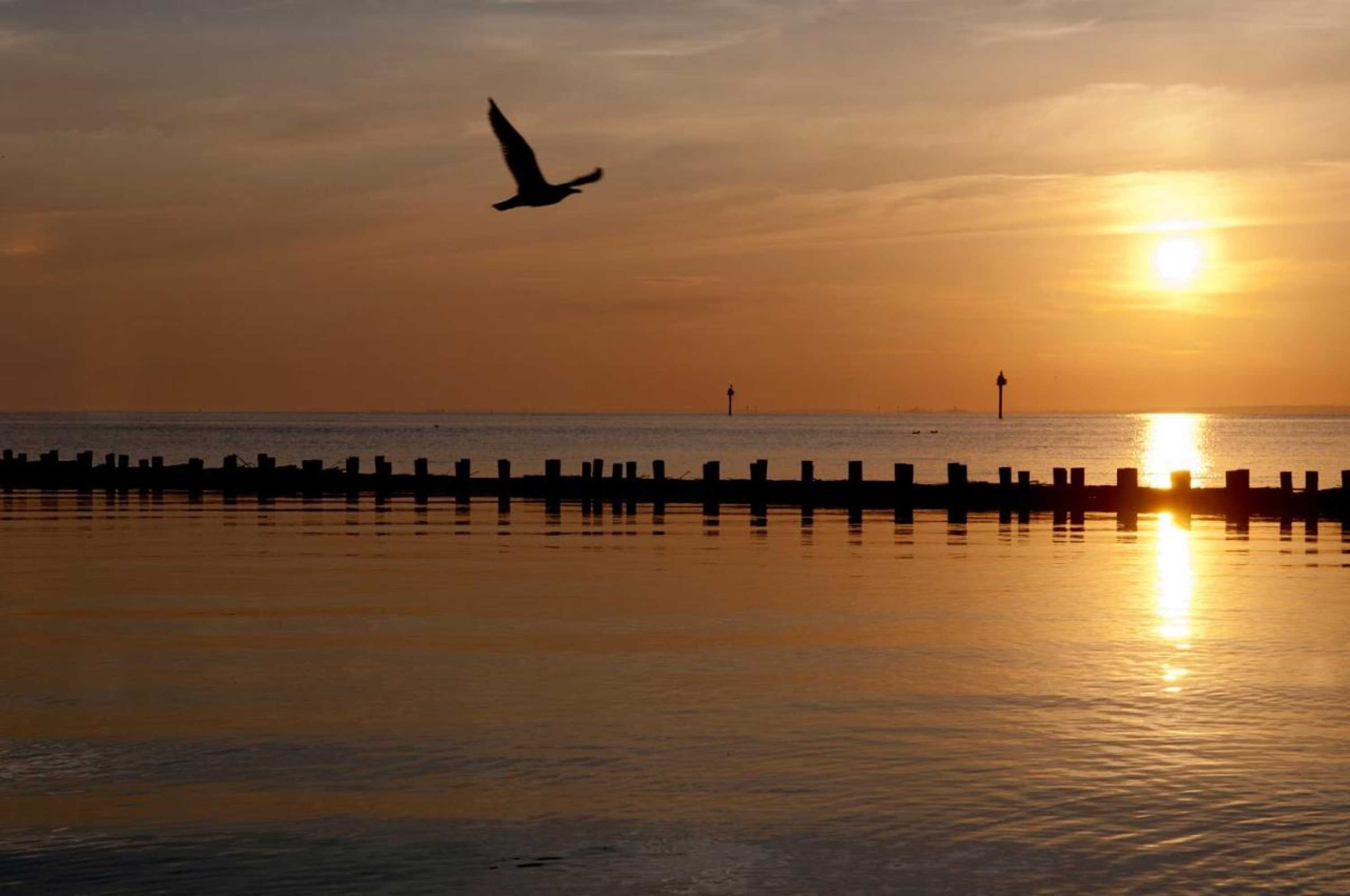 Gift card for Hotel Restaurant It Posthus