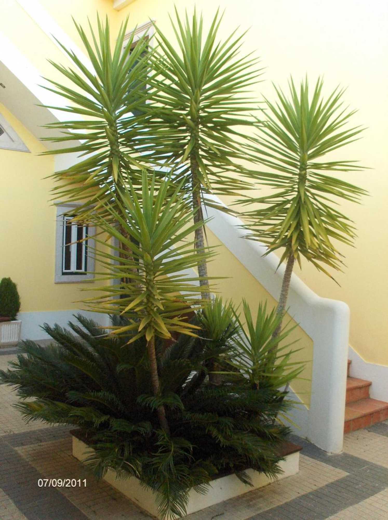 Gift card for Aqc - A Quinta Chama