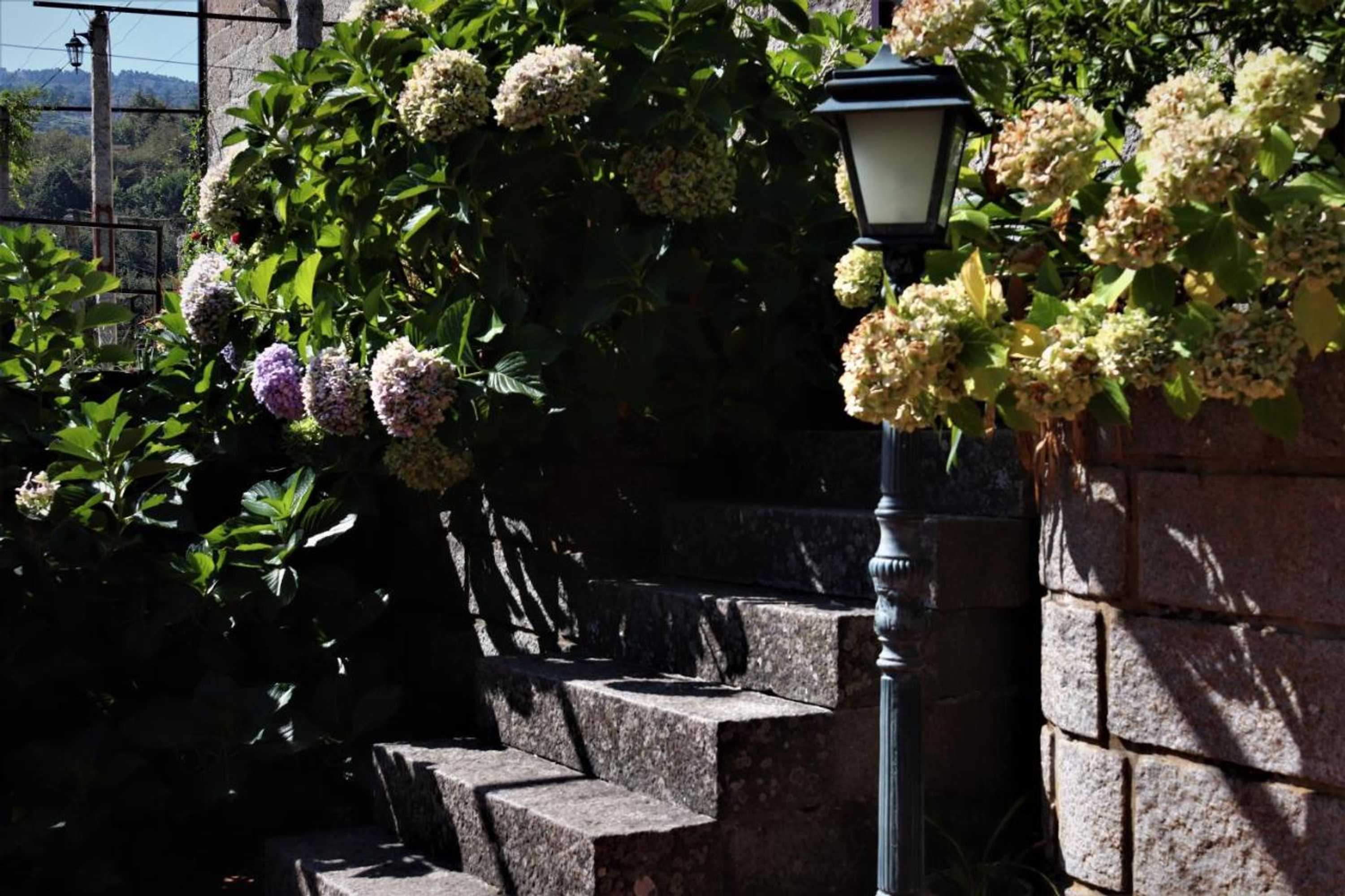 Gift card for Casa de São João Das Castanheiras Gift card for Casa de São João Das Castanheiras