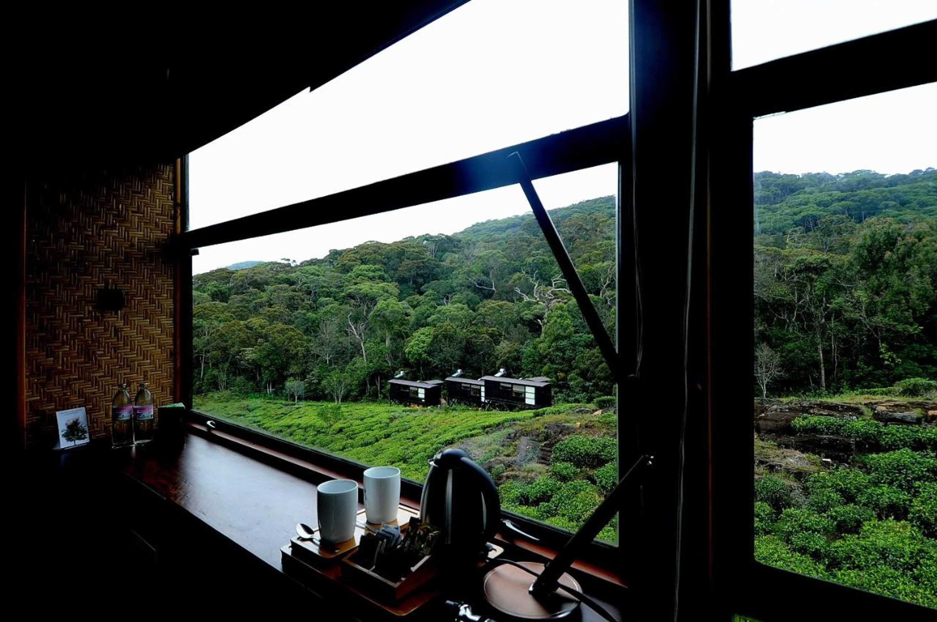 Gift card for The Rainforest Ecolodge - Sinharaja With Shuttle Service From Car Park Gift card for The Rainforest Ecolodge - Sinharaja With Shuttle Service From Car Park