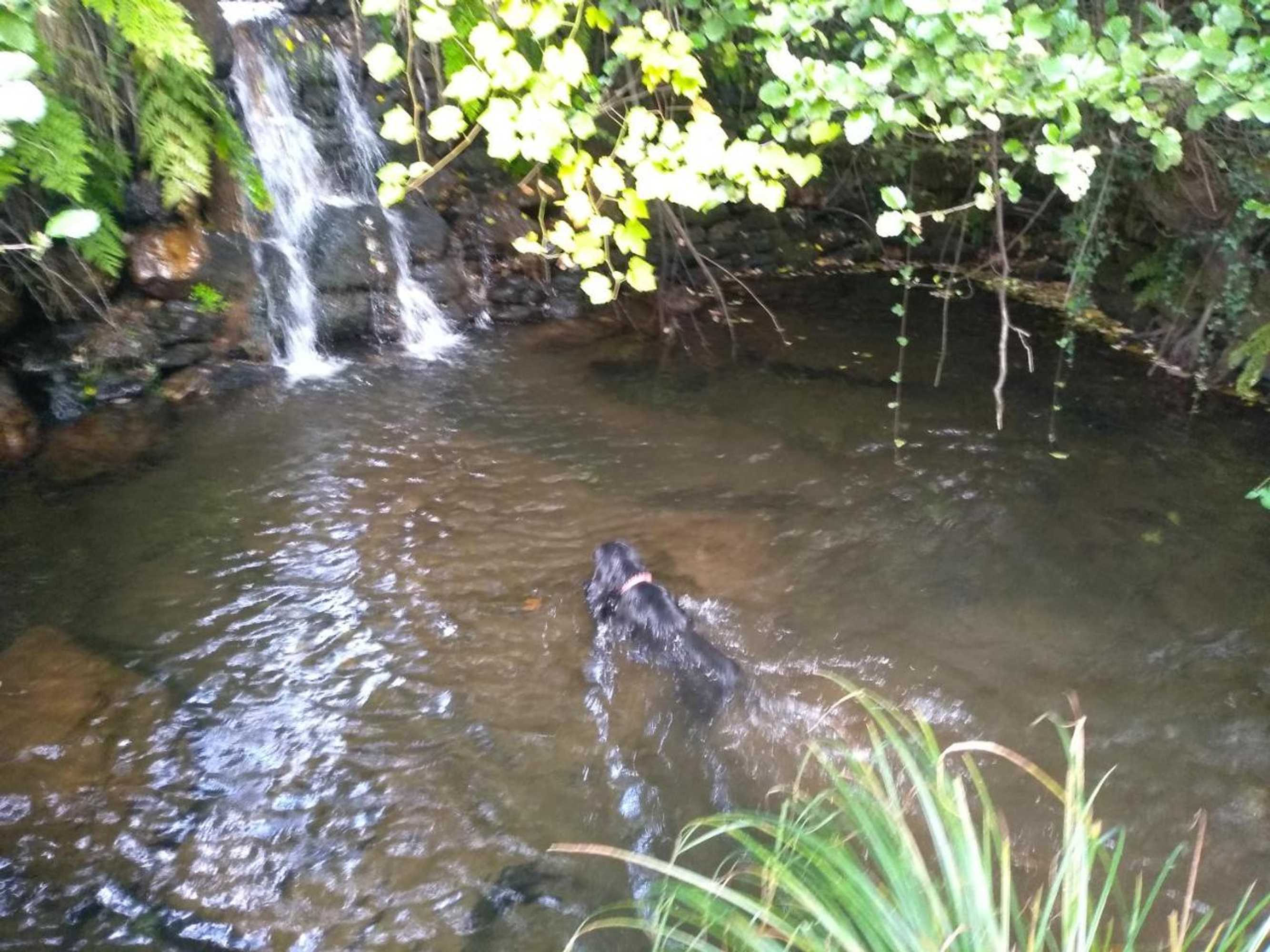 Gift card for Canastro Country House