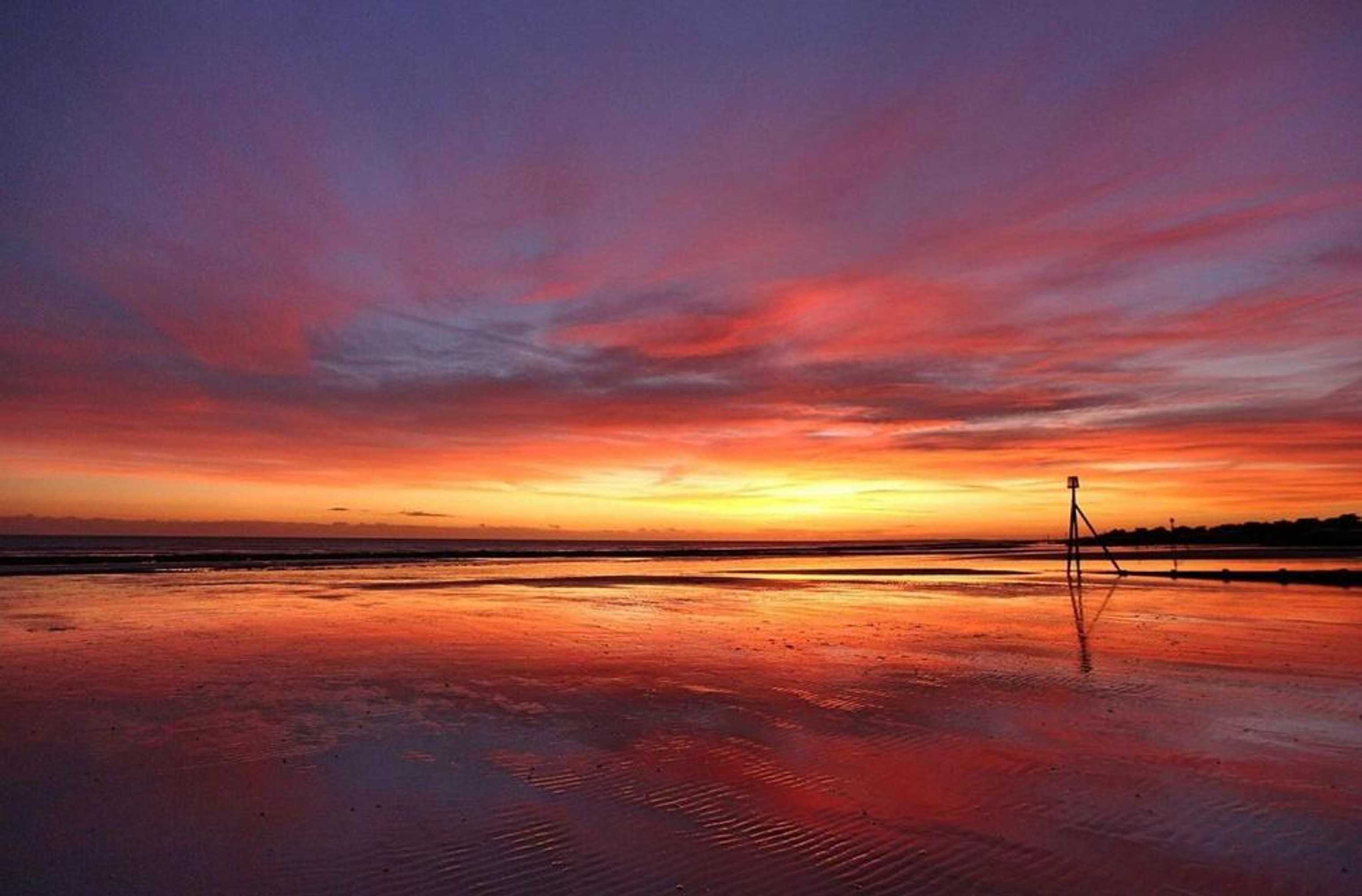 Gift card for The Elmer