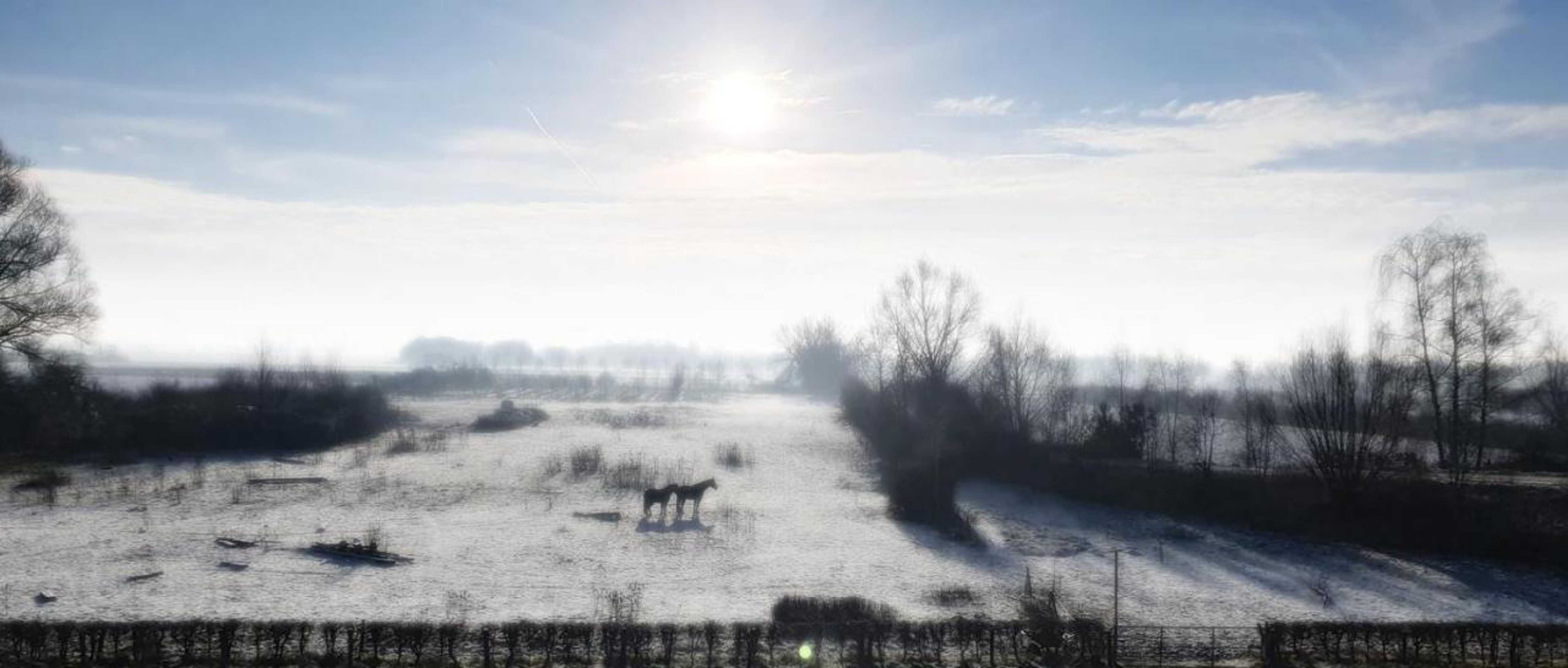 Gift card for Waard Van Kekerdom