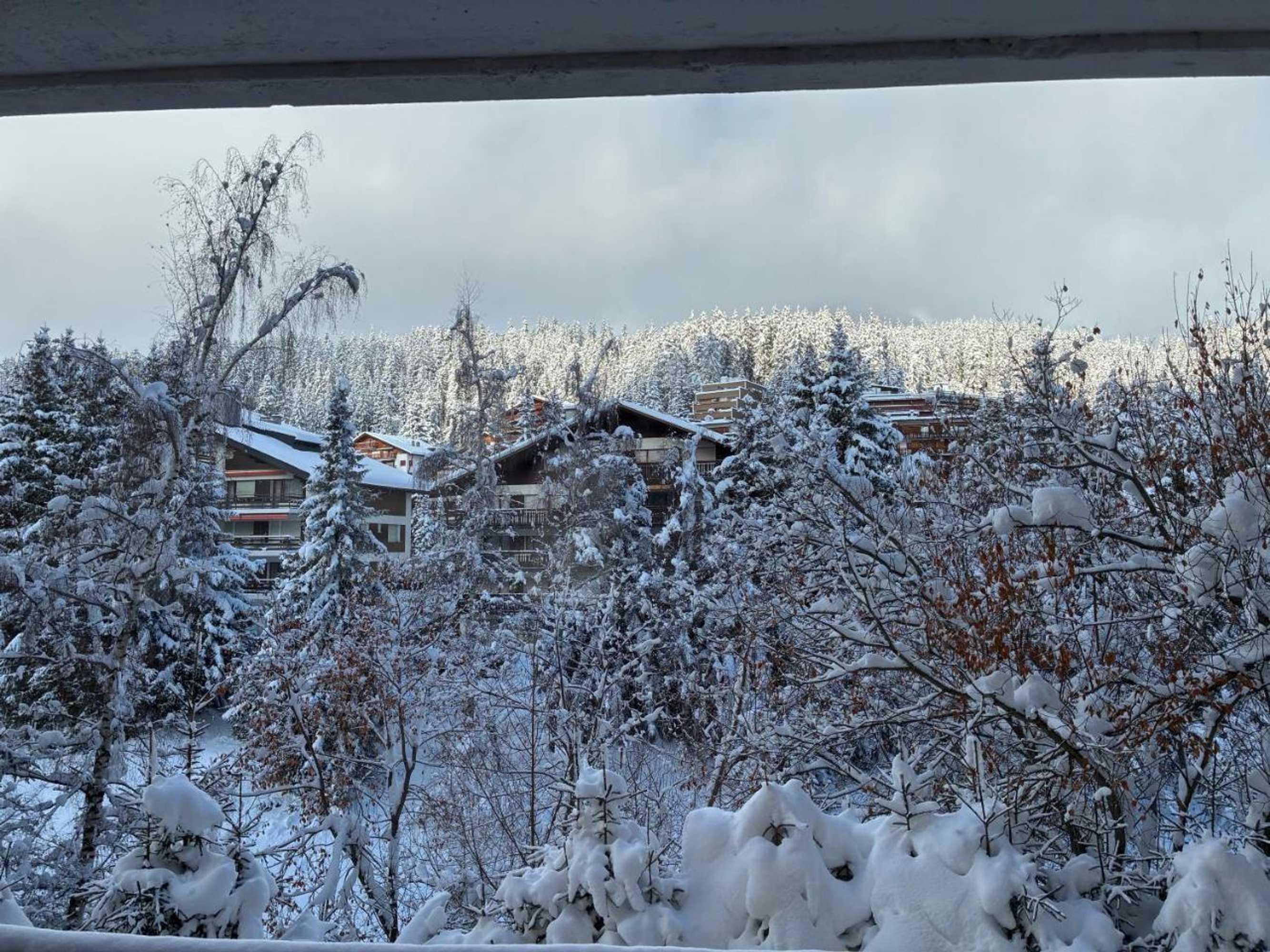 Gift card for Sport Palace