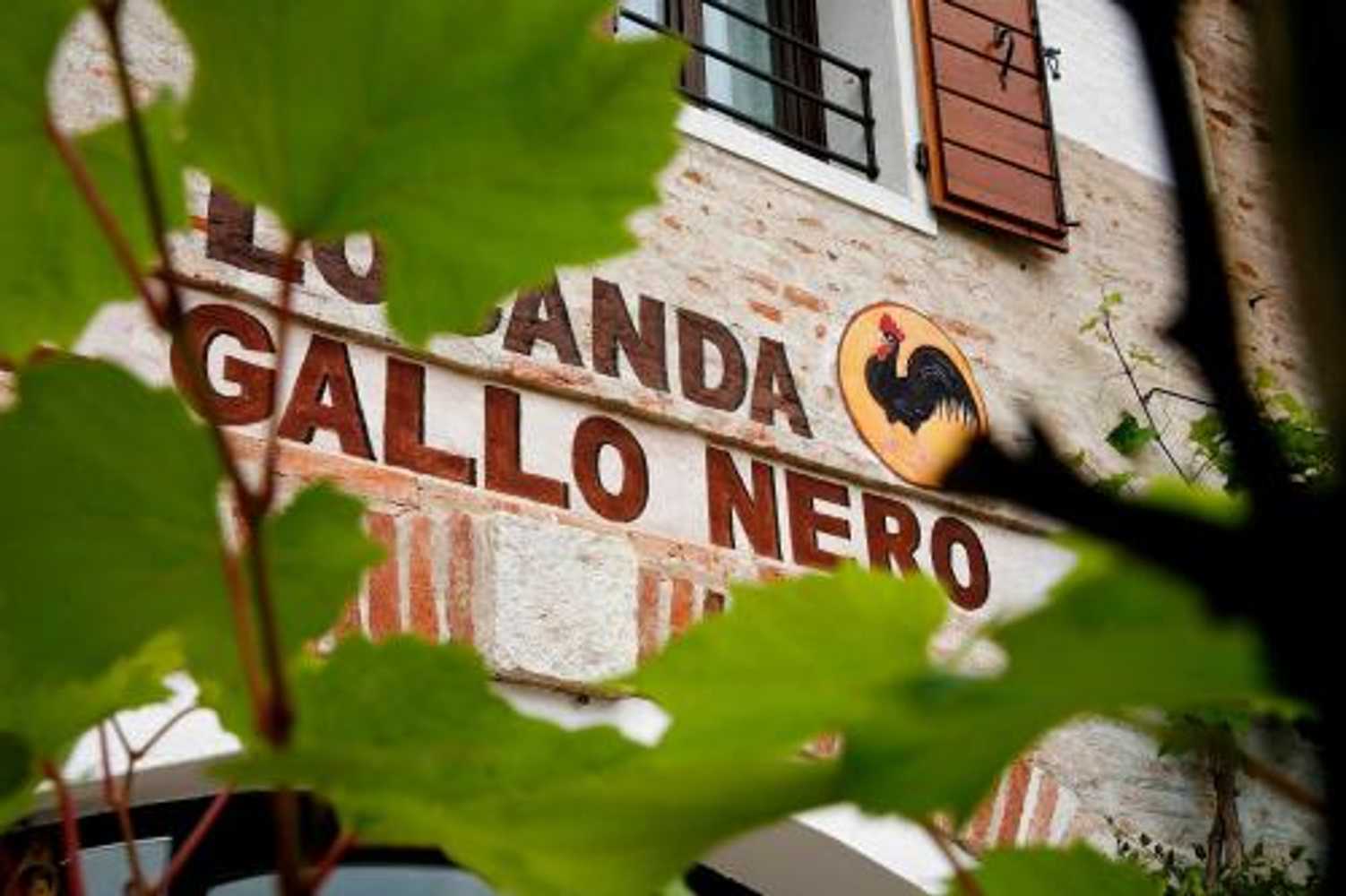 Gift card for Al Gallo Nero