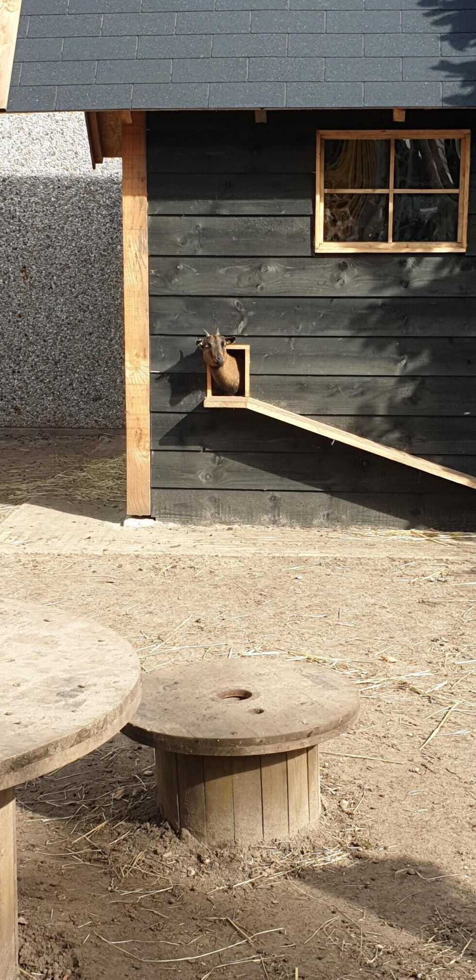 Gift card for Vakantiepark De Bosrand