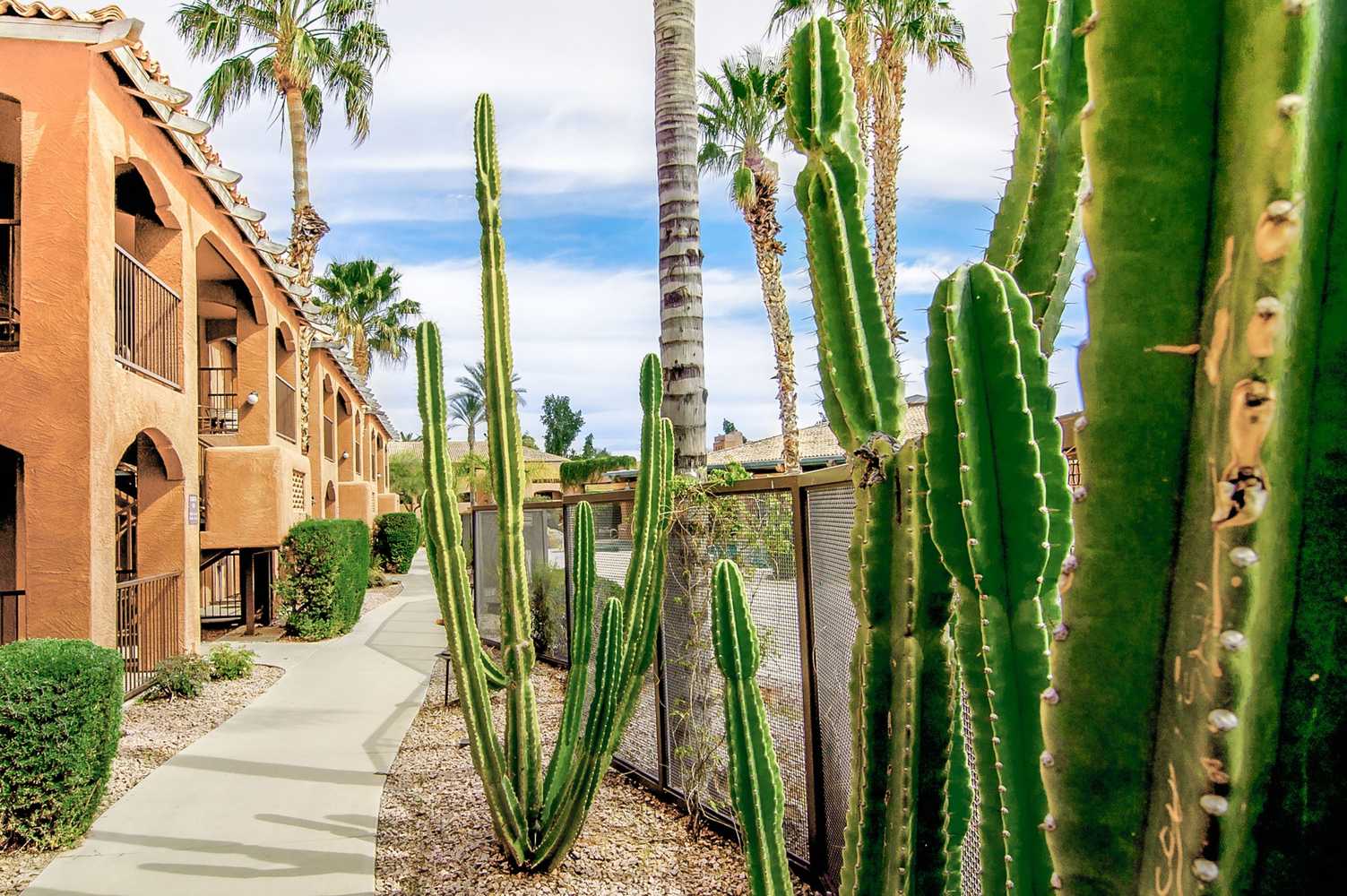 Gift card for Holiday Inn Club Vacations Scottsdale Resort by Ihg