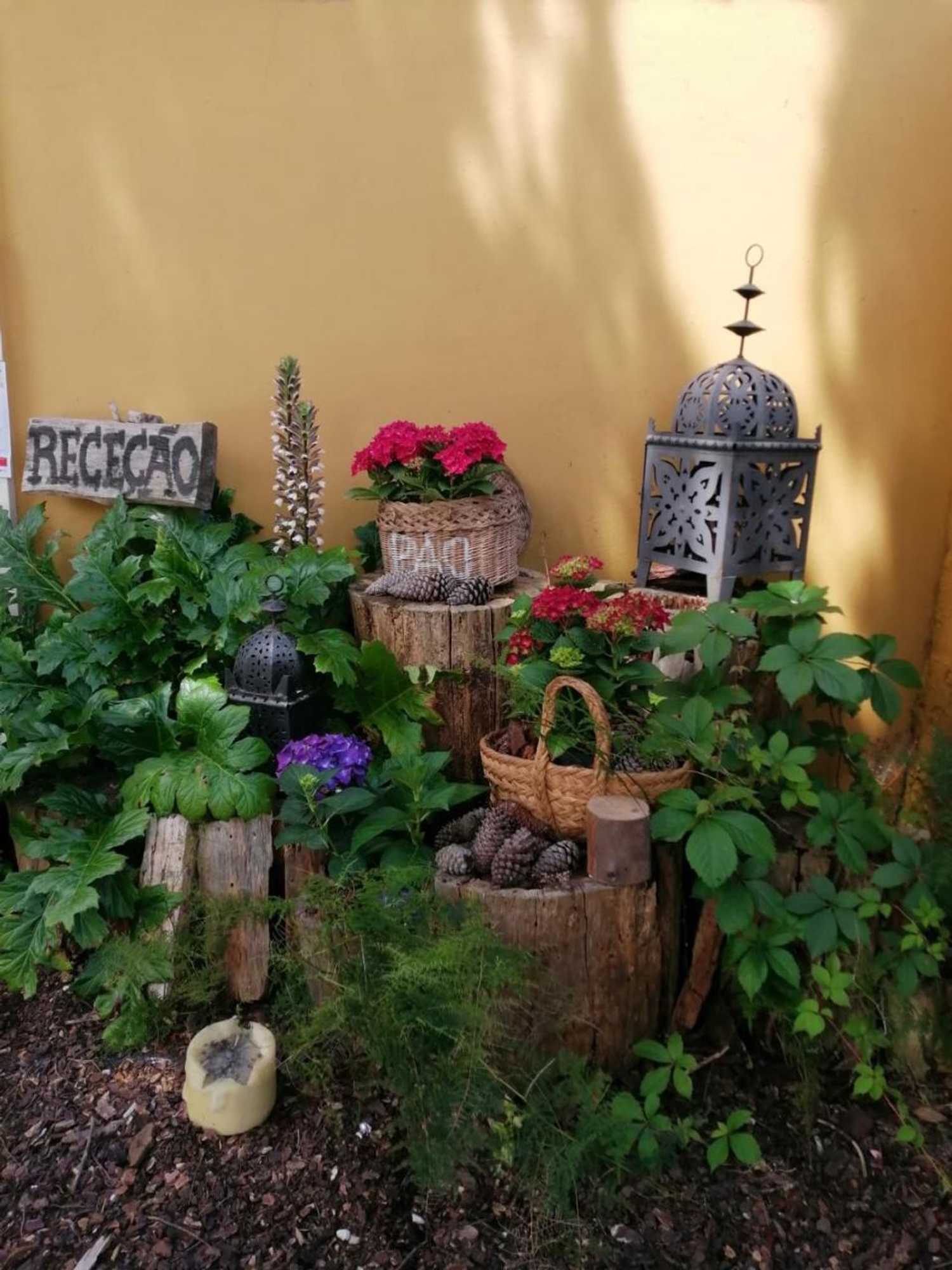 Gift card for Casa De Campo Colmeal