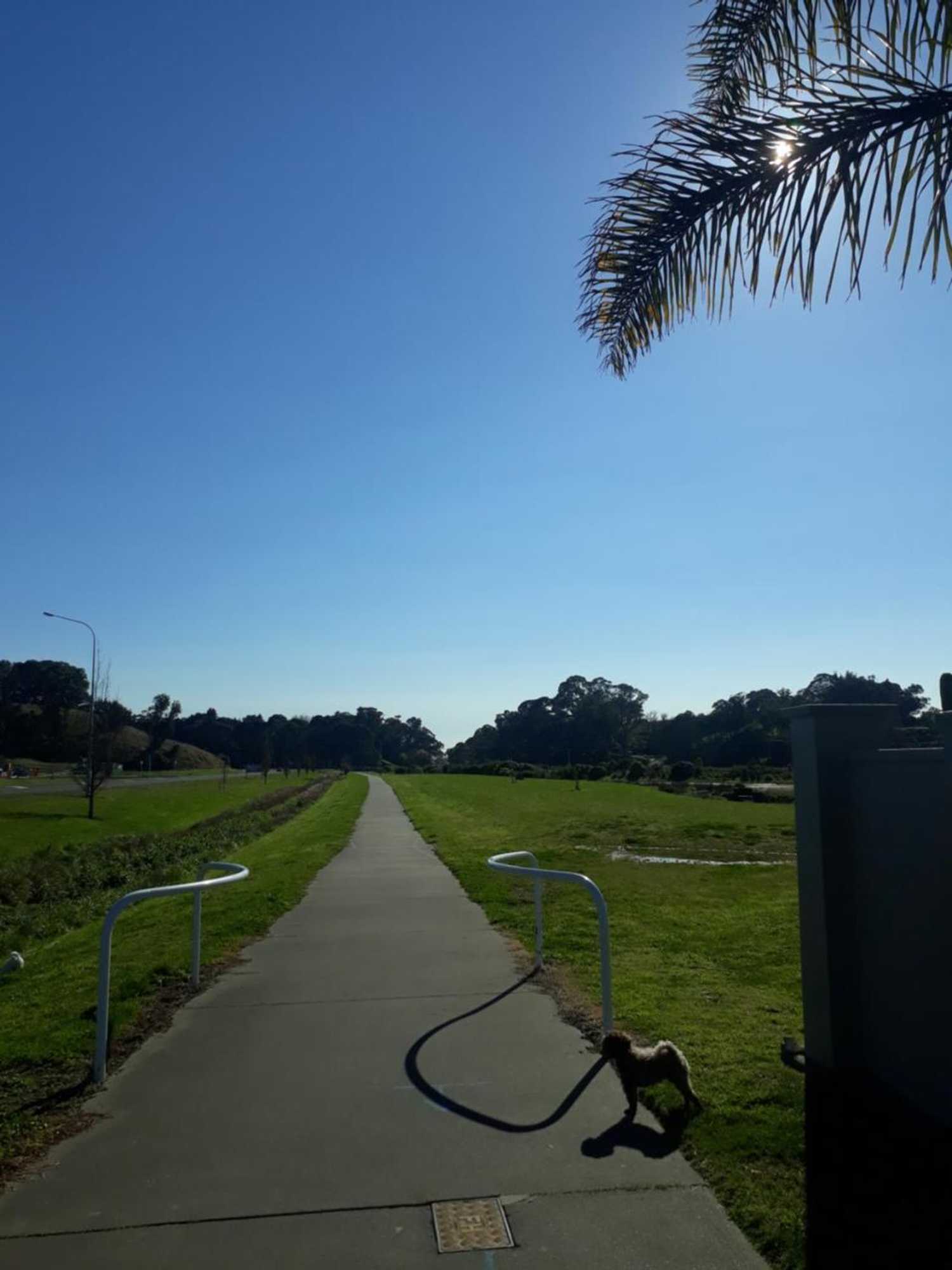 Gift card for Hidden Gem in Oaklands