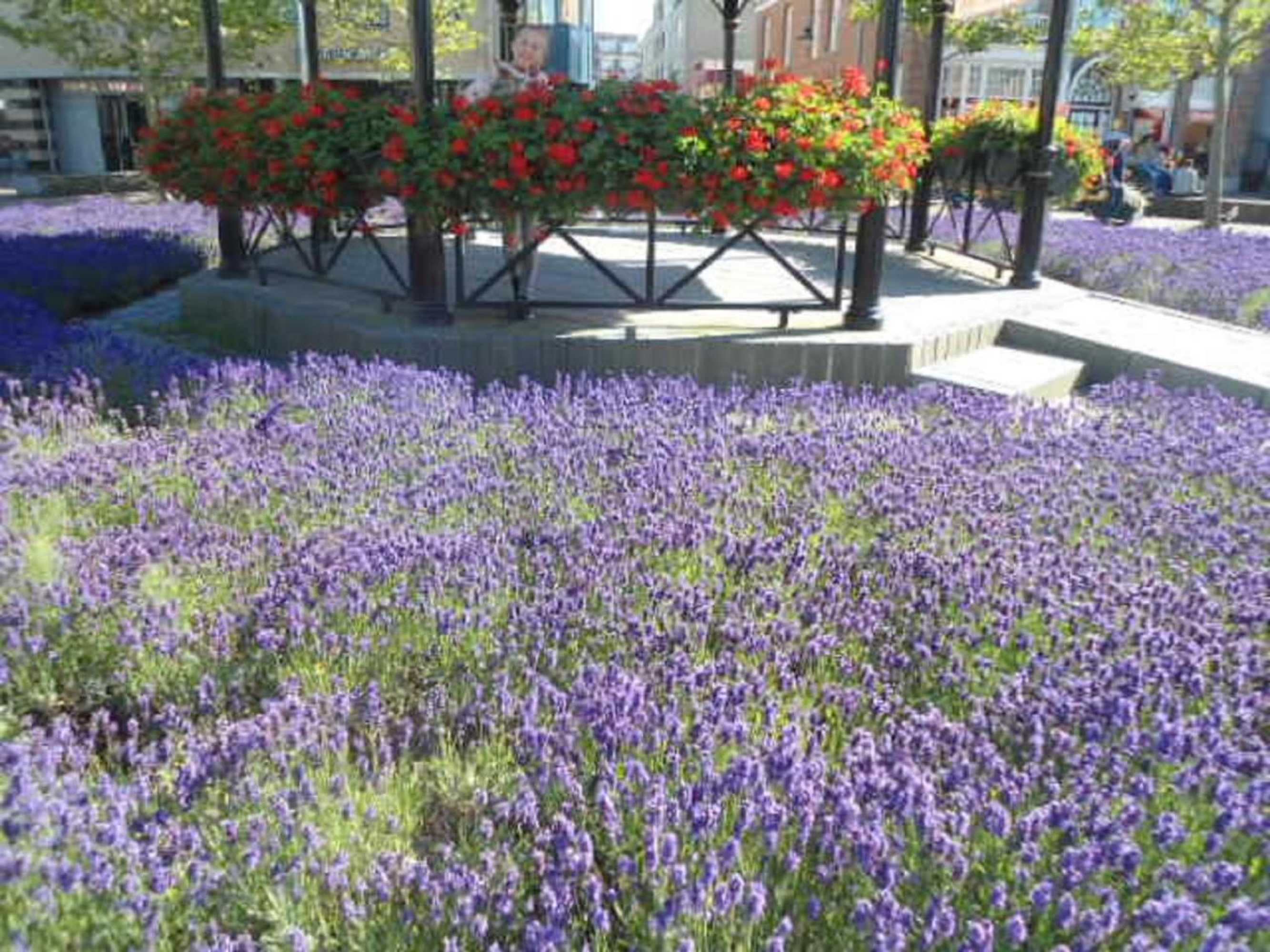 Gift card for Halte71