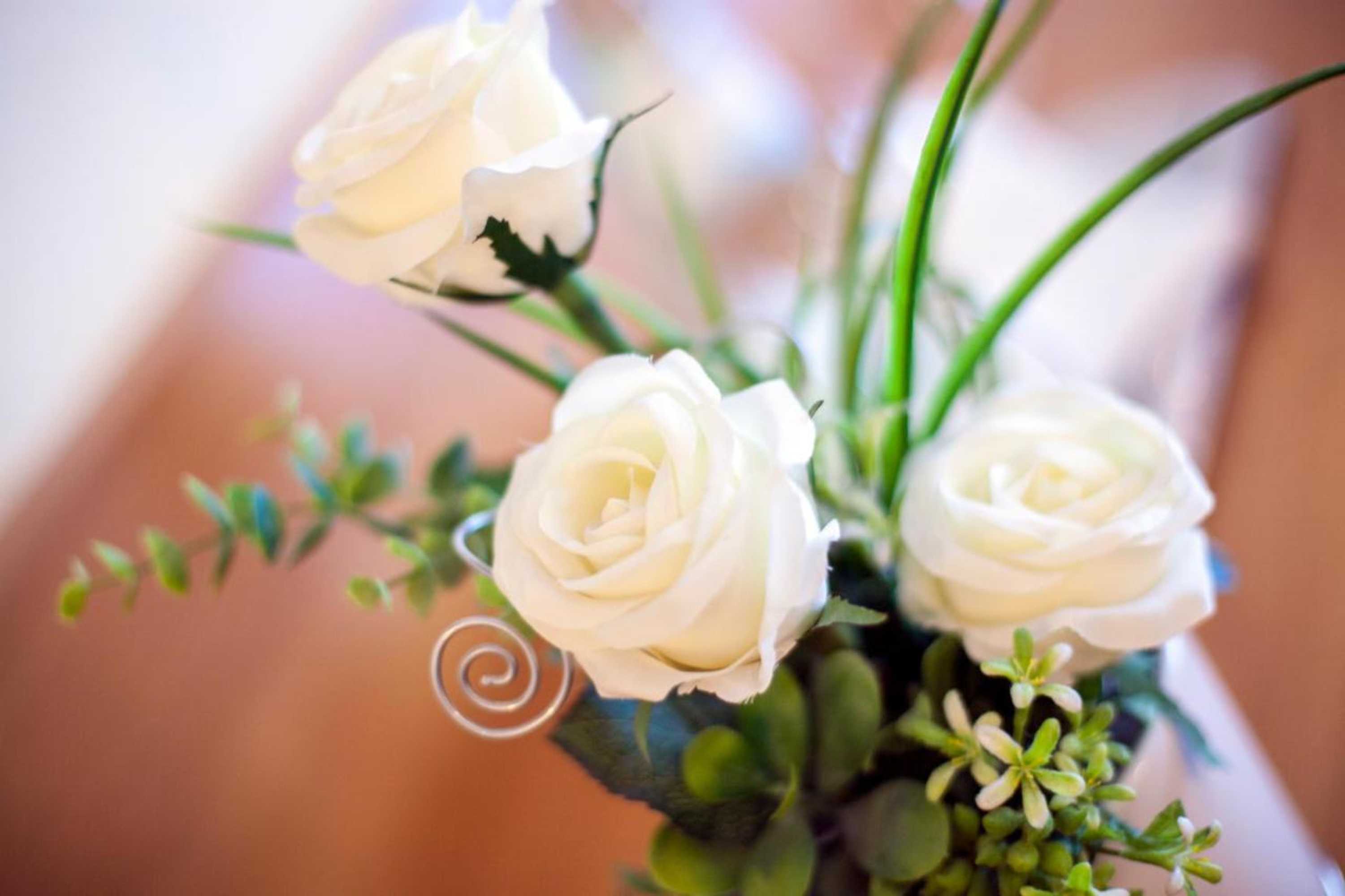 Gift card for Landgasthof-Hotel Zum Steverstrand