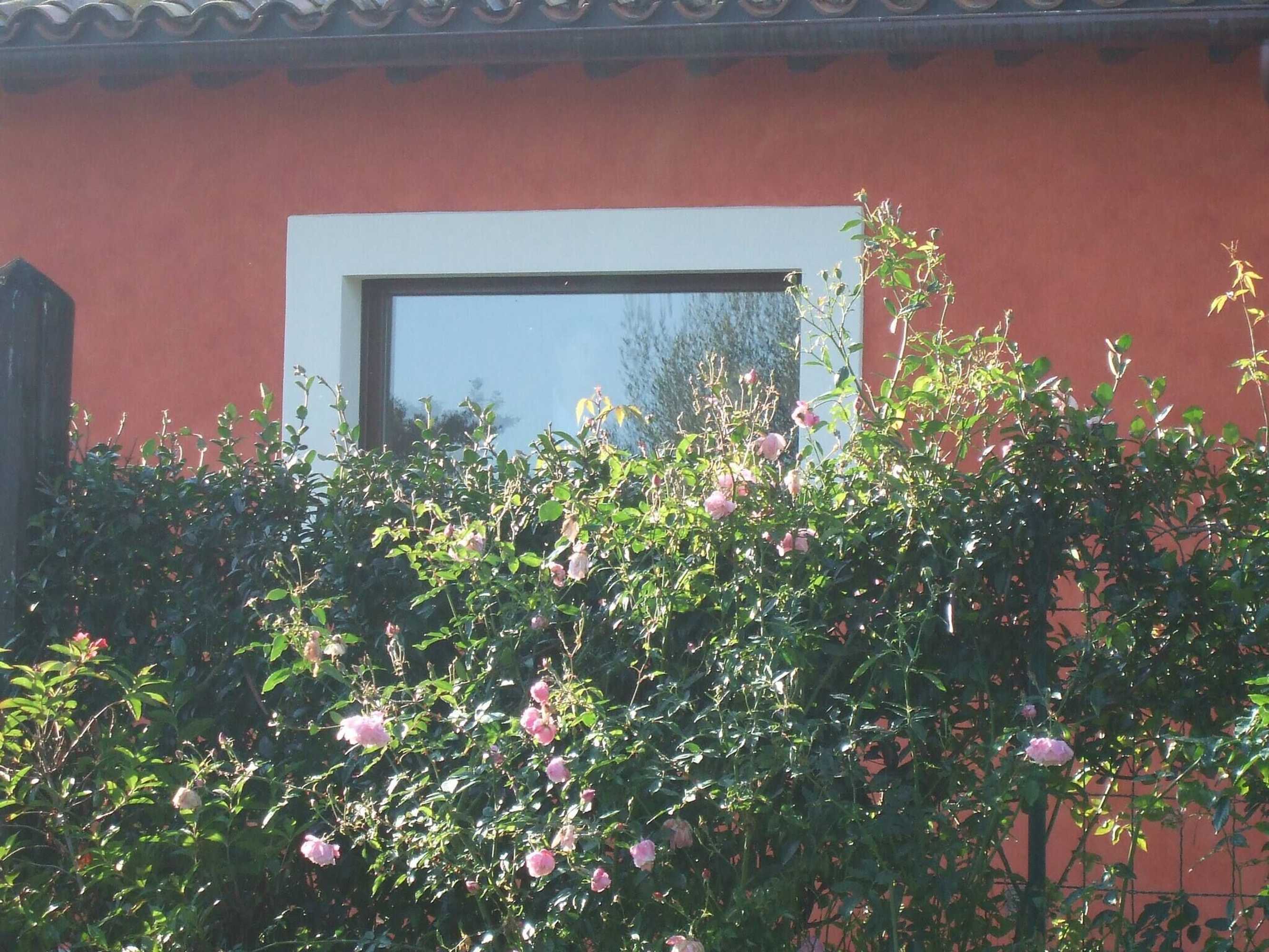 Gift card for Red House/casa Rossa - Near Civita Di Bagnoregio Gift card for Red House/casa Rossa - Near Civita Di Bagnoregio