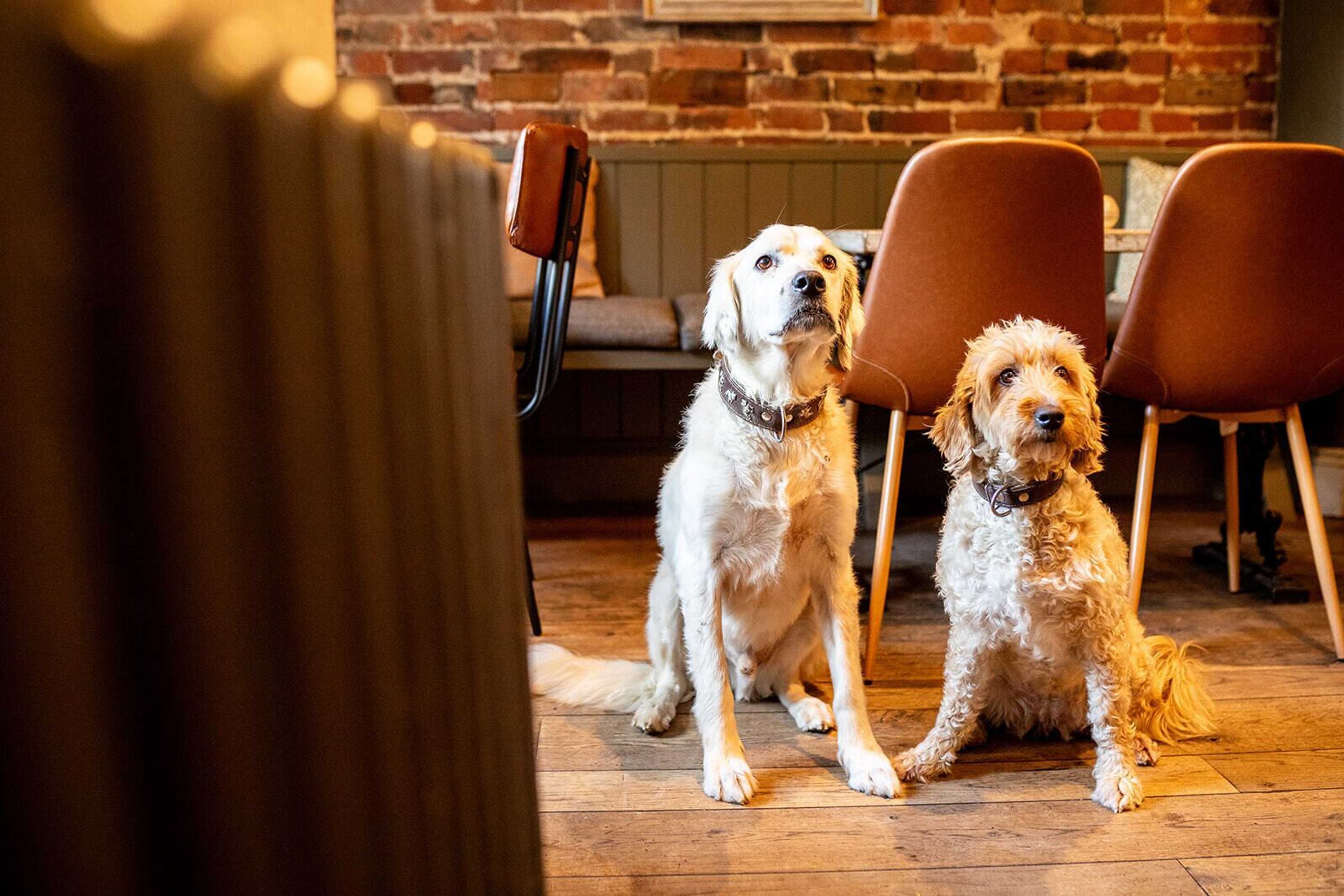 Gift card for The Boot Inn