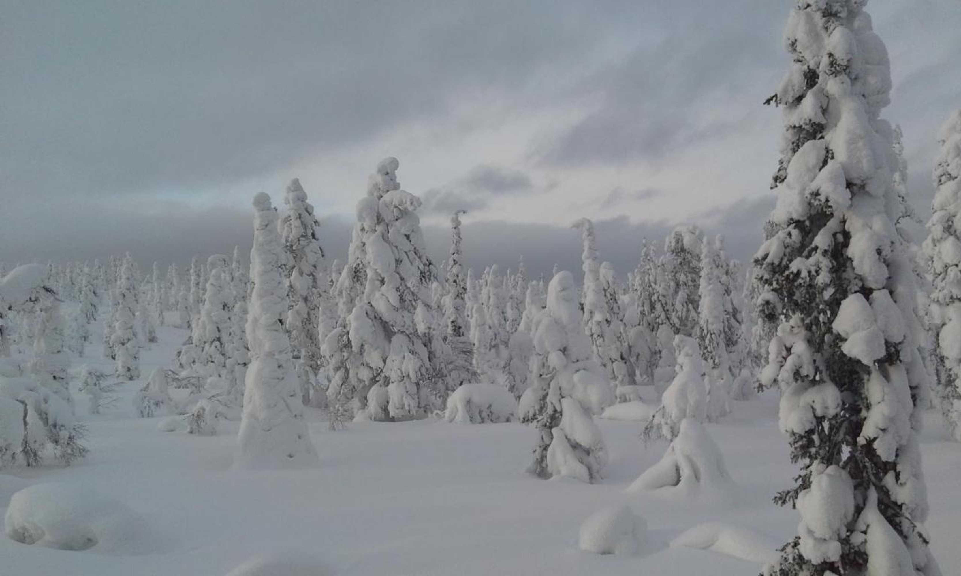 Gift card for Apartment Seita