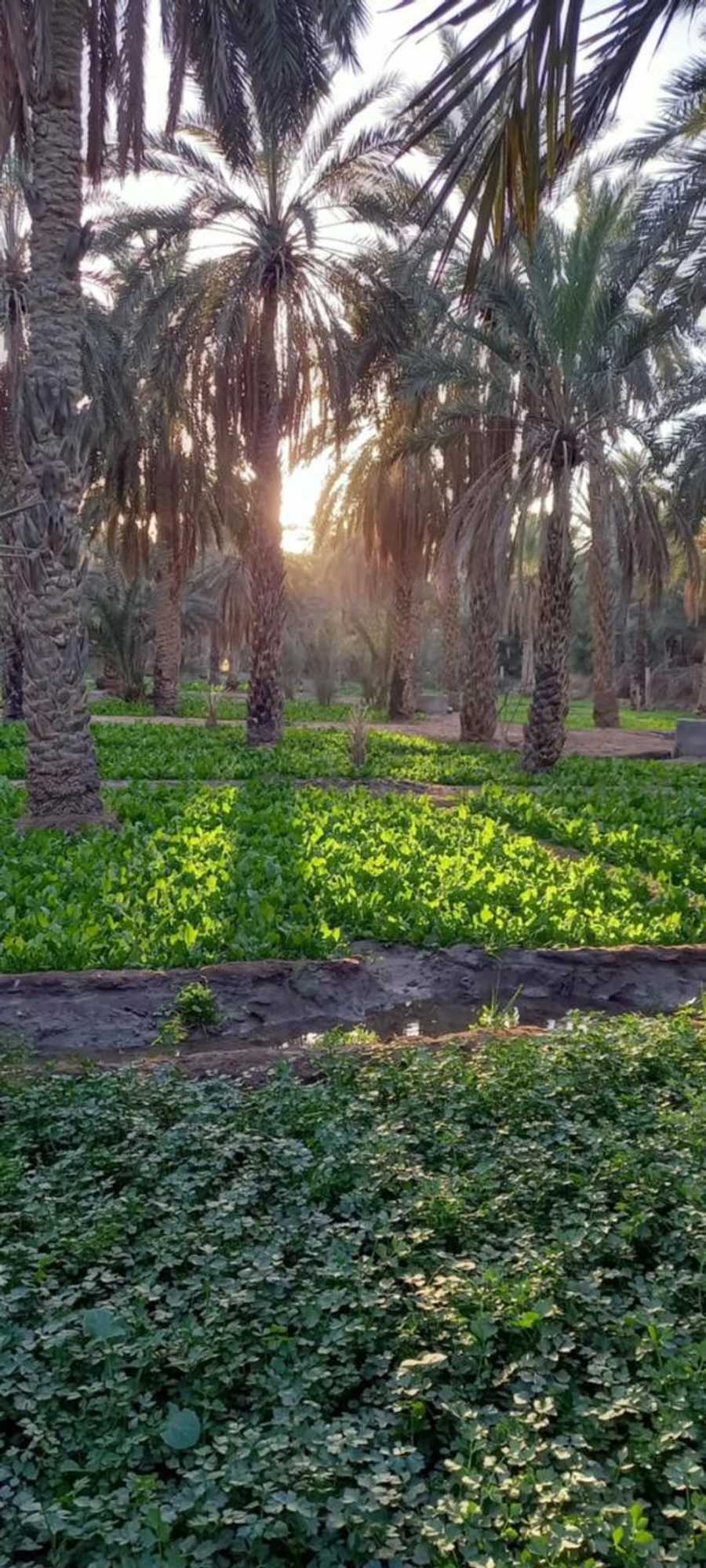 Gift card for Maison D'hôtes Villa Fatima