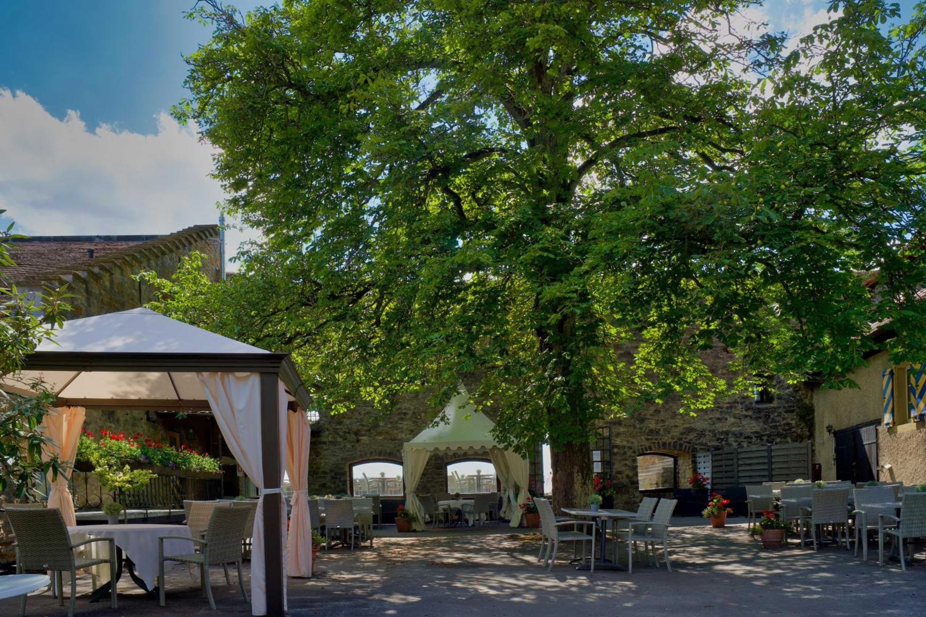 Gift card for Hotel-Restaurant Burg Hornberg Gift card for Hotel-Restaurant Burg Hornberg