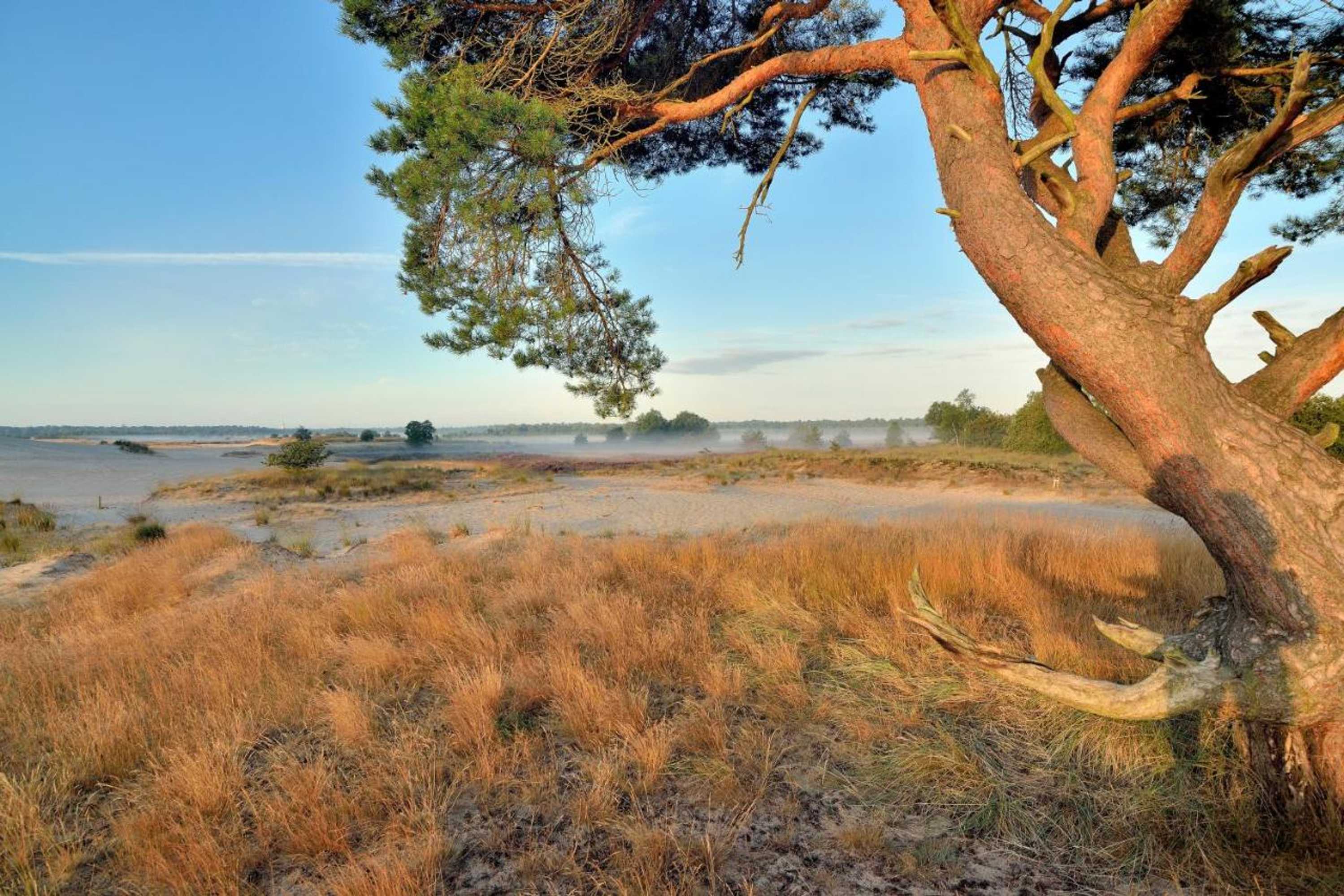 Gift card for Dreamzzz Boutique B&b Kaatsheuvel