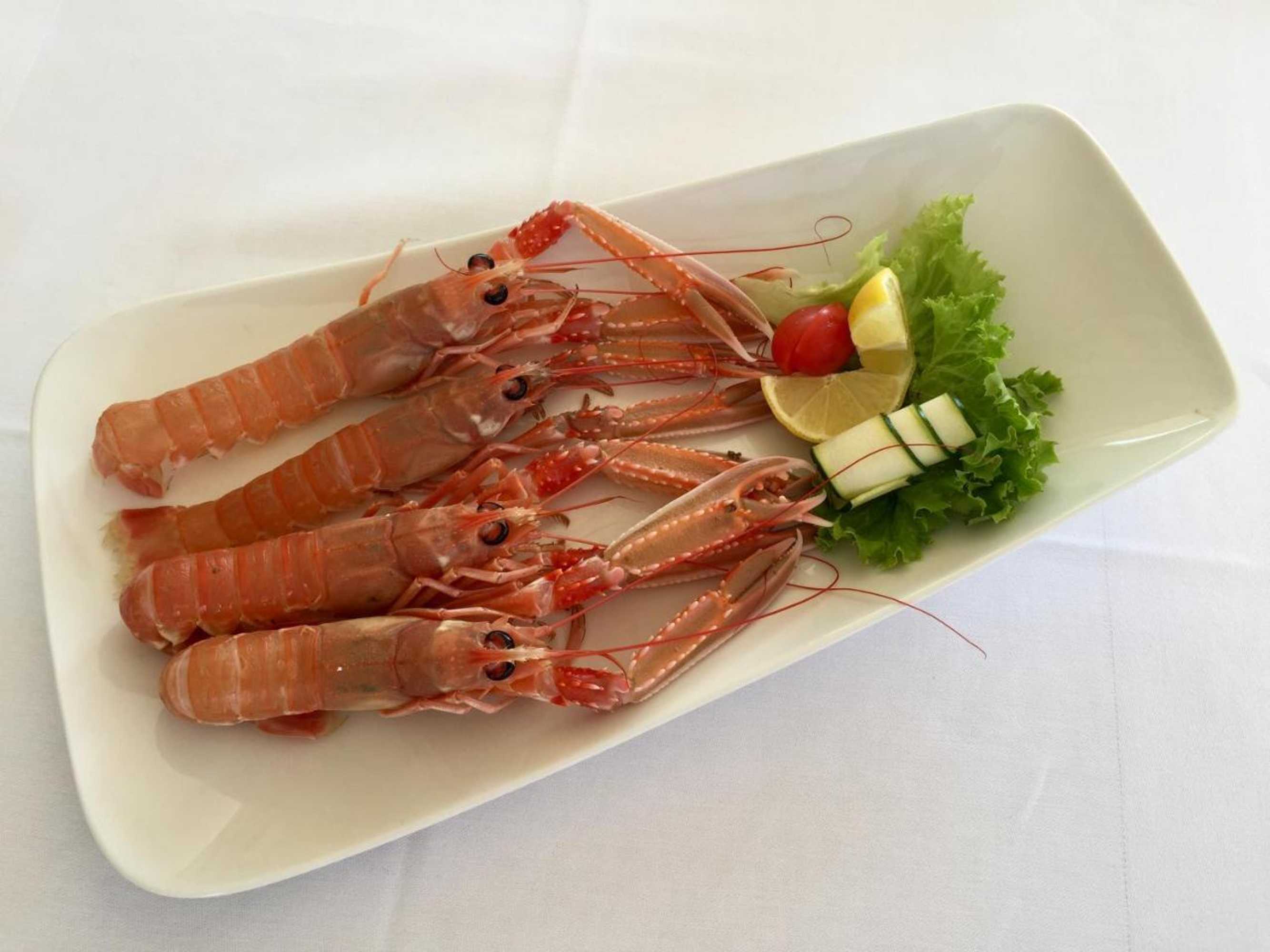 Gift card for Rooms & Pansion Odmor