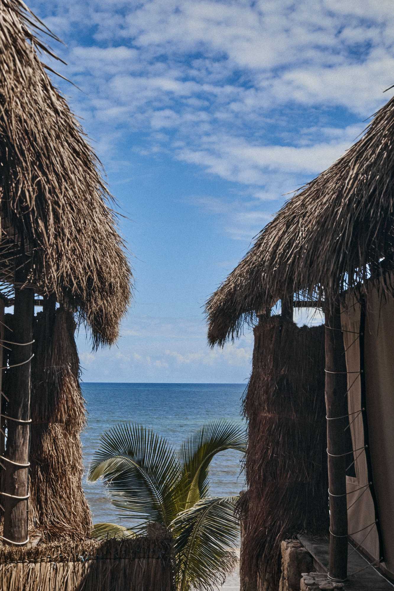 Gift card for Our Habitas Tulum - Adults Only Gift card for Our Habitas Tulum - Adults Only